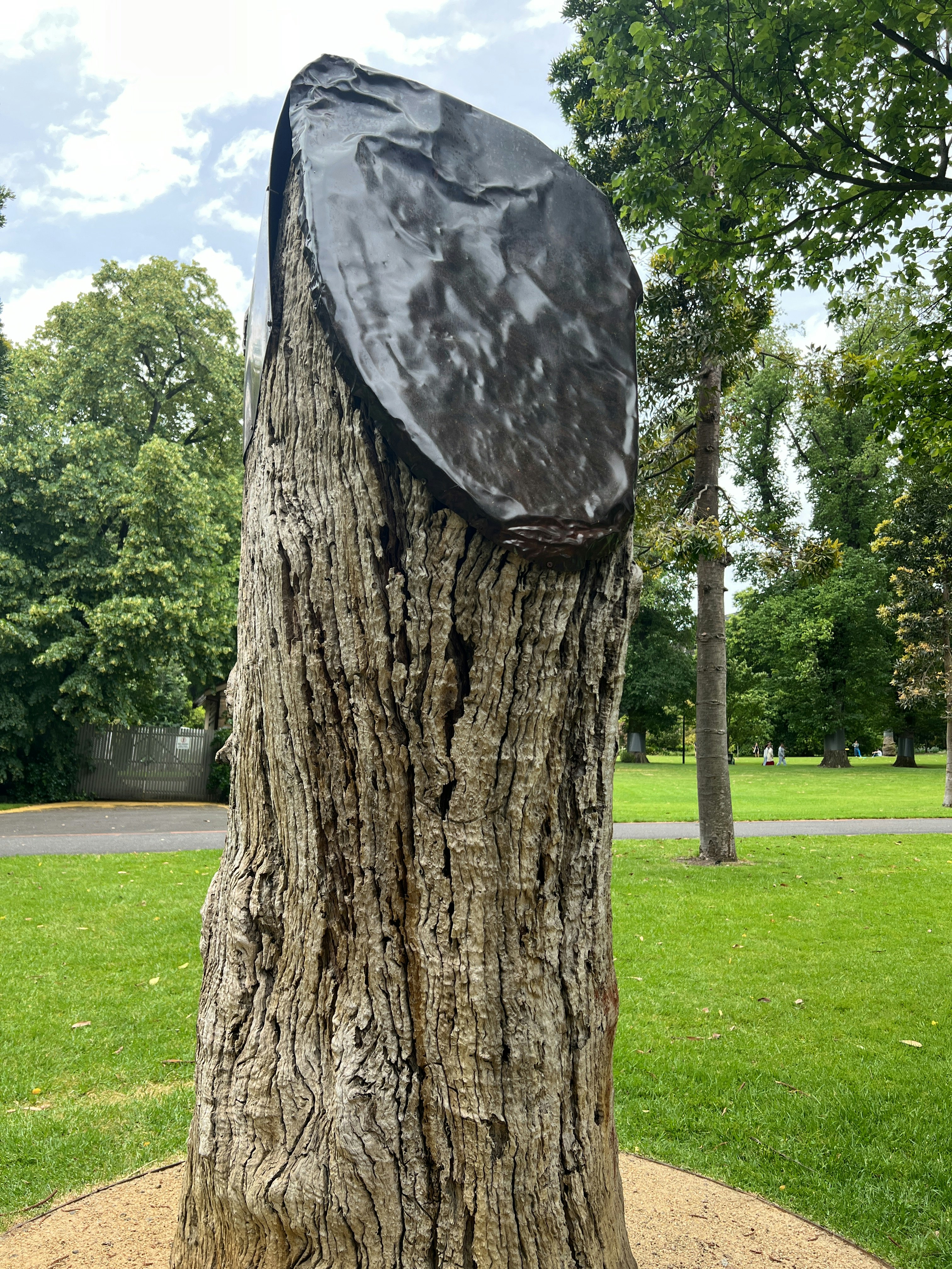 Player photo from Fitzroy & Treasury Gardens: Melbourne’s Secret Walk walking tour in Melbourne