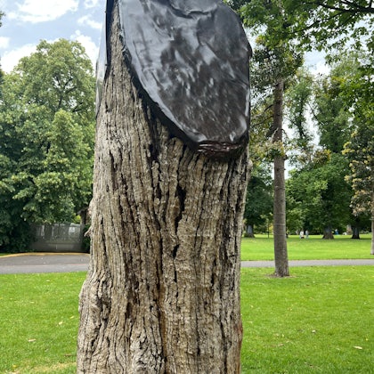 Player photo from Fitzroy & Treasury Gardens: Melbourne’s Secret Walk walking tour in Melbourne