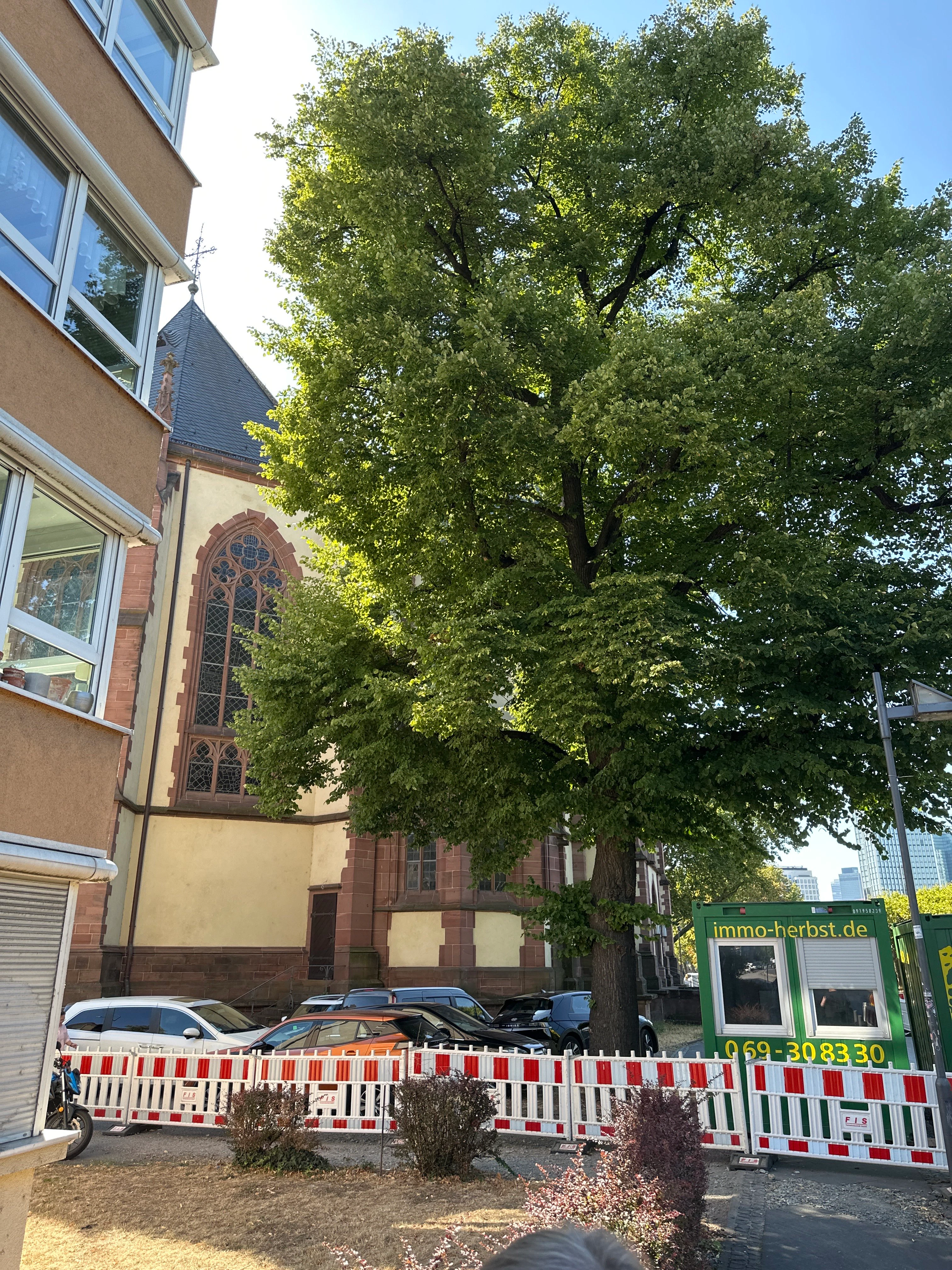 Player photo from Frankfurt: The Lost Waters of Alt-Sachsenhausen walking tour in Frankfurt