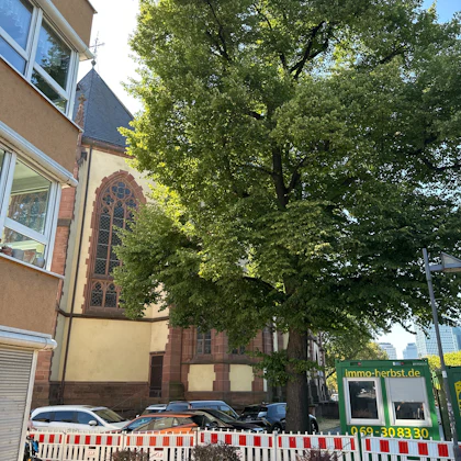 Player photo from Frankfurt: The Lost Waters of Alt-Sachsenhausen walking tour in Frankfurt
