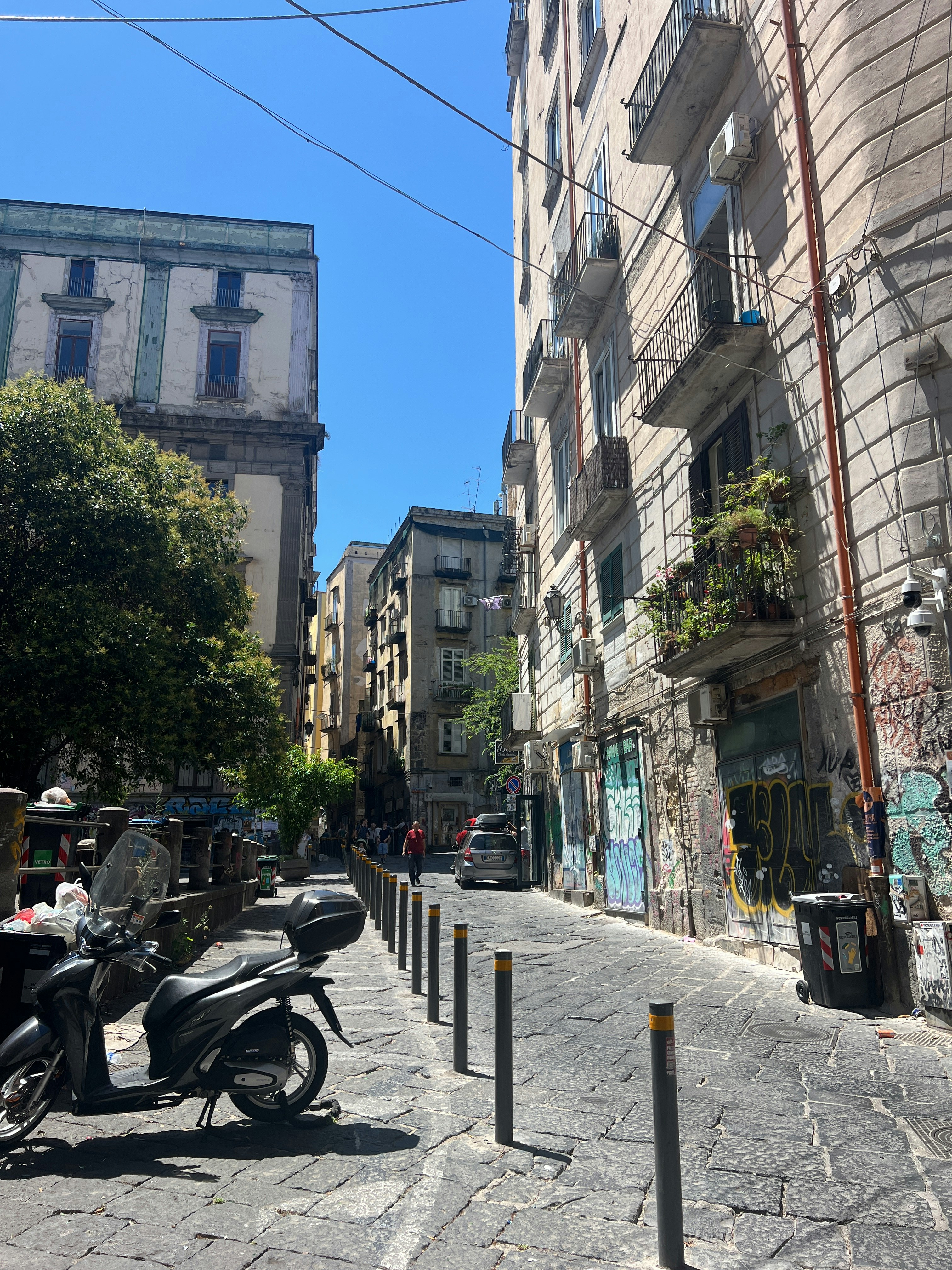 Player photo from Naples' Hidden History: Legacy of the Cursed Egg walking tour in Naples