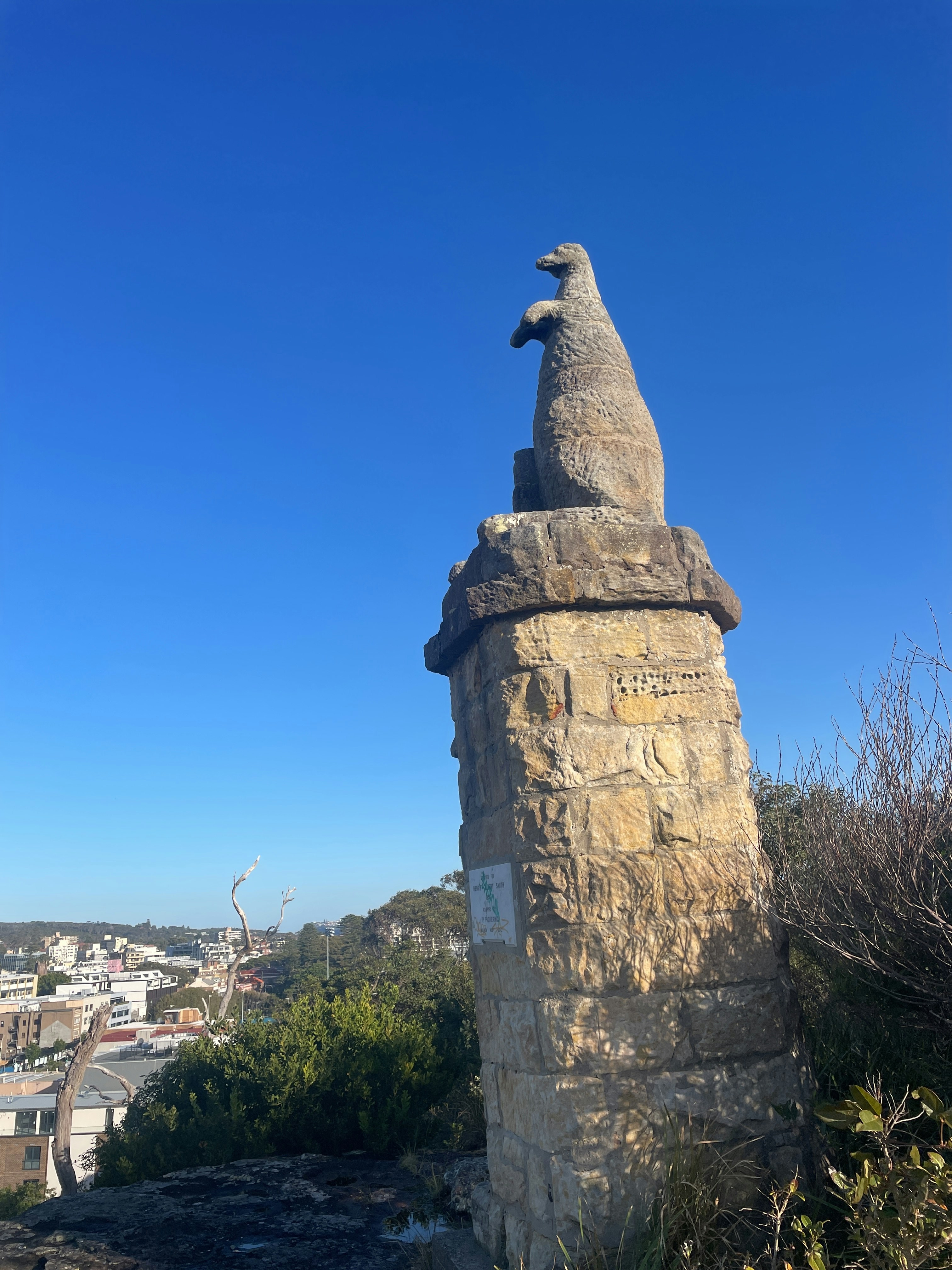 Player photo from Manly: Sydney's Playground walking tour in Manly