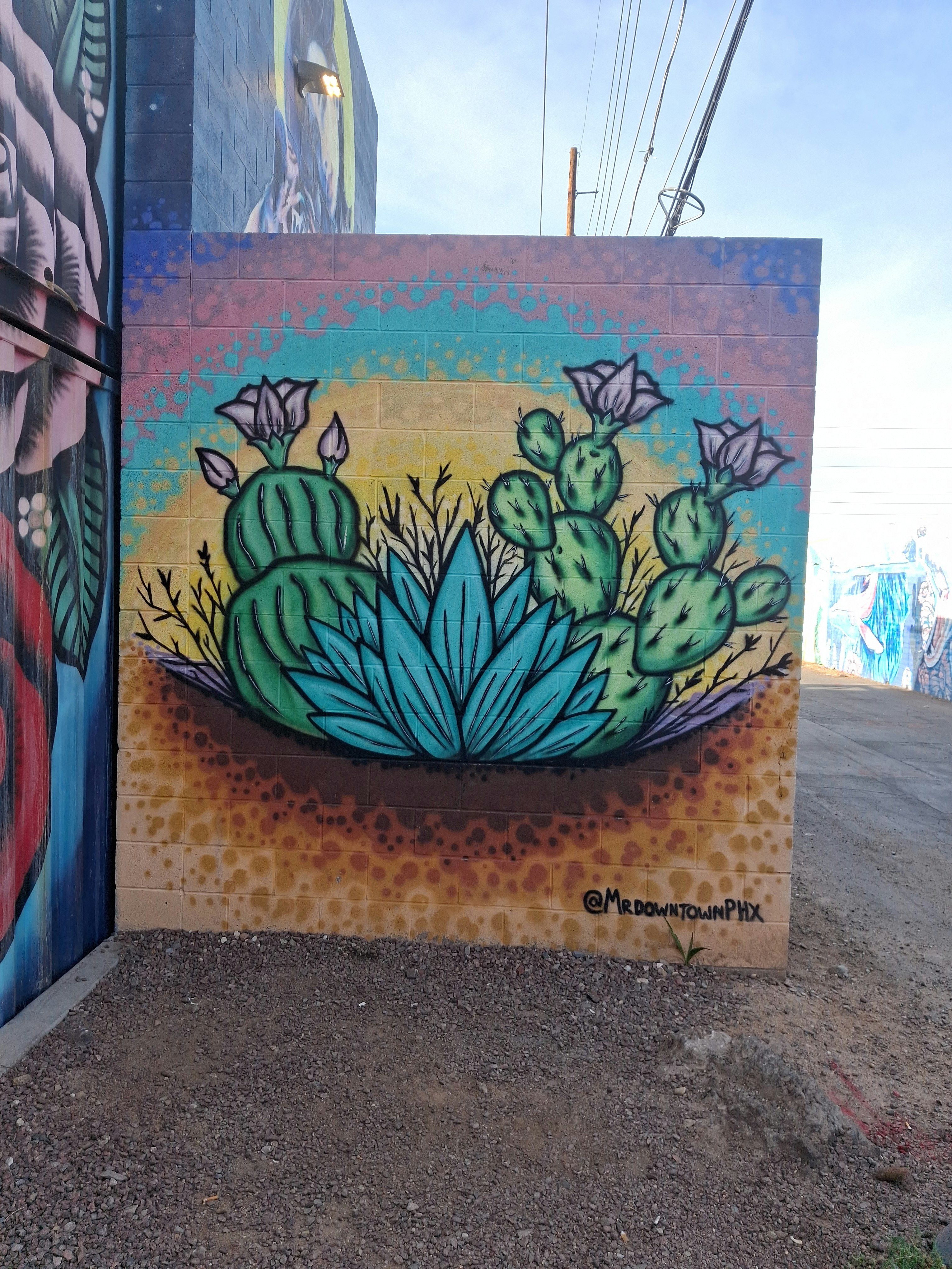 Player photo from The Phoenix Art Heist: Murals, Mystery, and Masterpieces walking tour in Phoenix