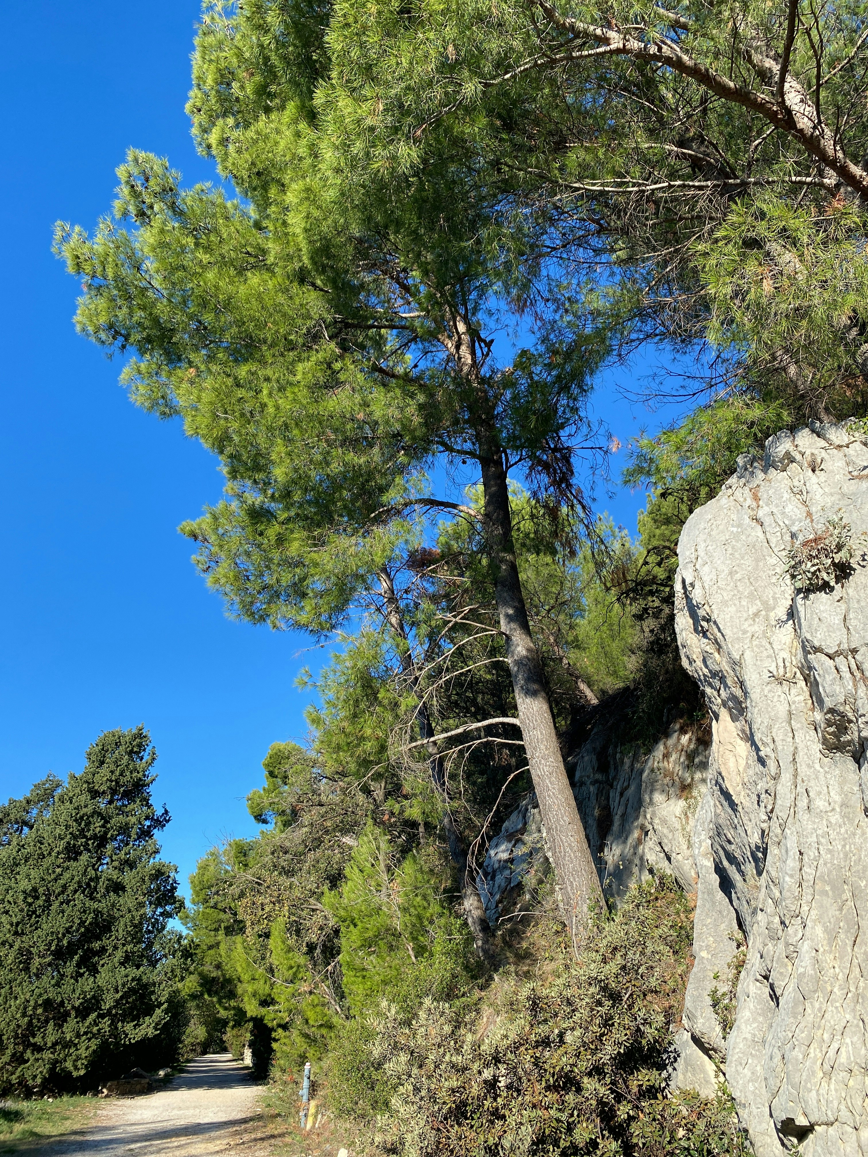 Player photo from Split Marjan Hill Witch Hunt: Split Best Viewpoints and Panoramic Sights walking tour in Split