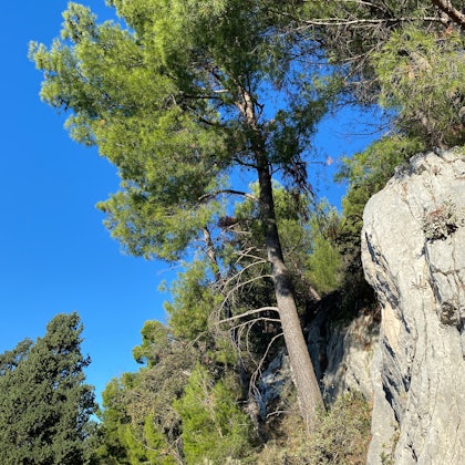Player photo from Split Marjan Hill Witch Hunt: Split Best Viewpoints and Panoramic Sights walking tour in Split