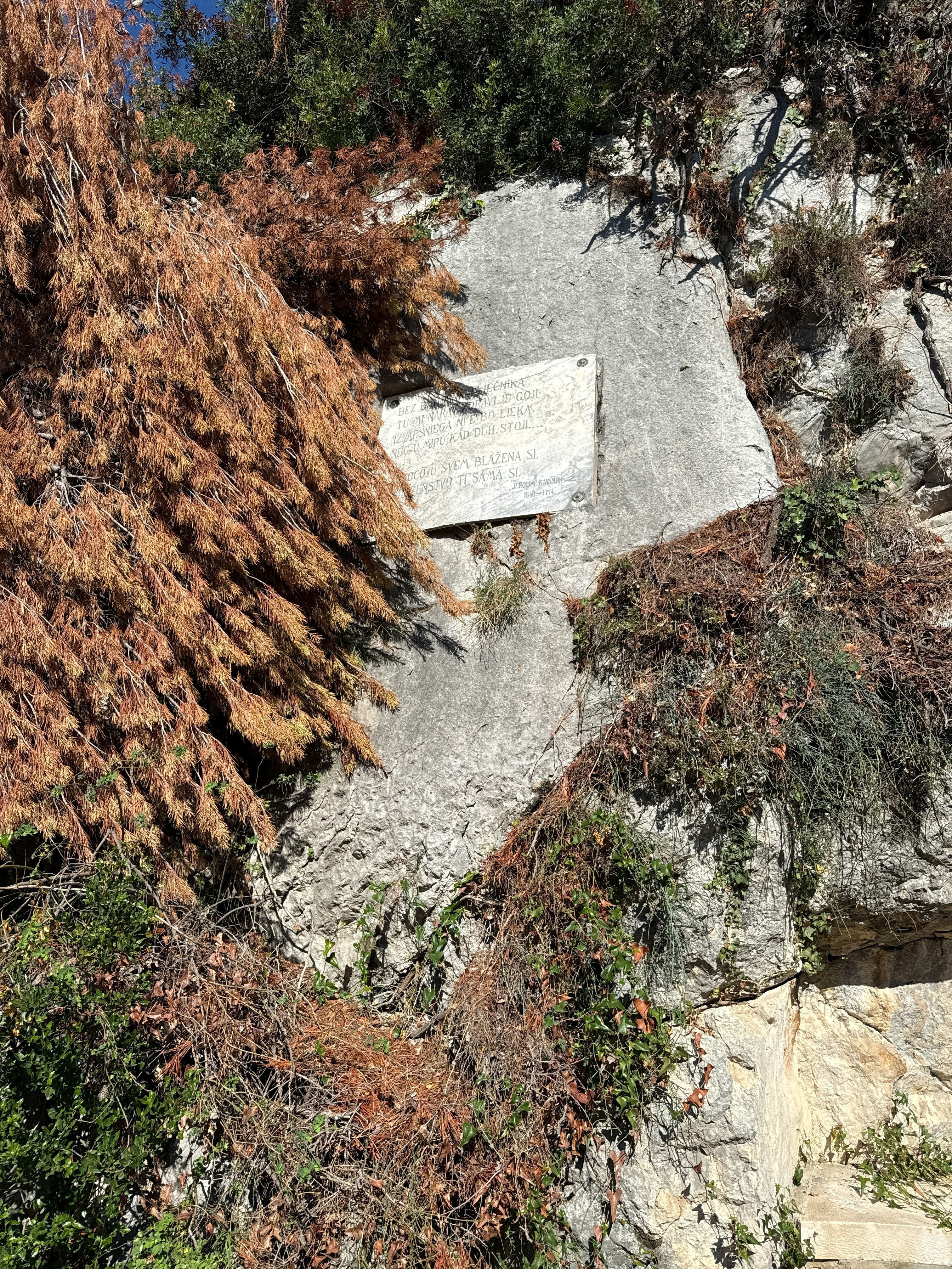 Player photo from Split Marjan Hill Witch Hunt: Split Best Viewpoints and Panoramic Sights walking tour in Split