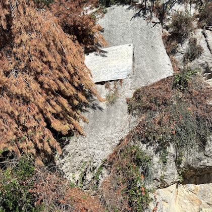 Player photo from Split Marjan Hill Witch Hunt: Split Best Viewpoints and Panoramic Sights walking tour in Split