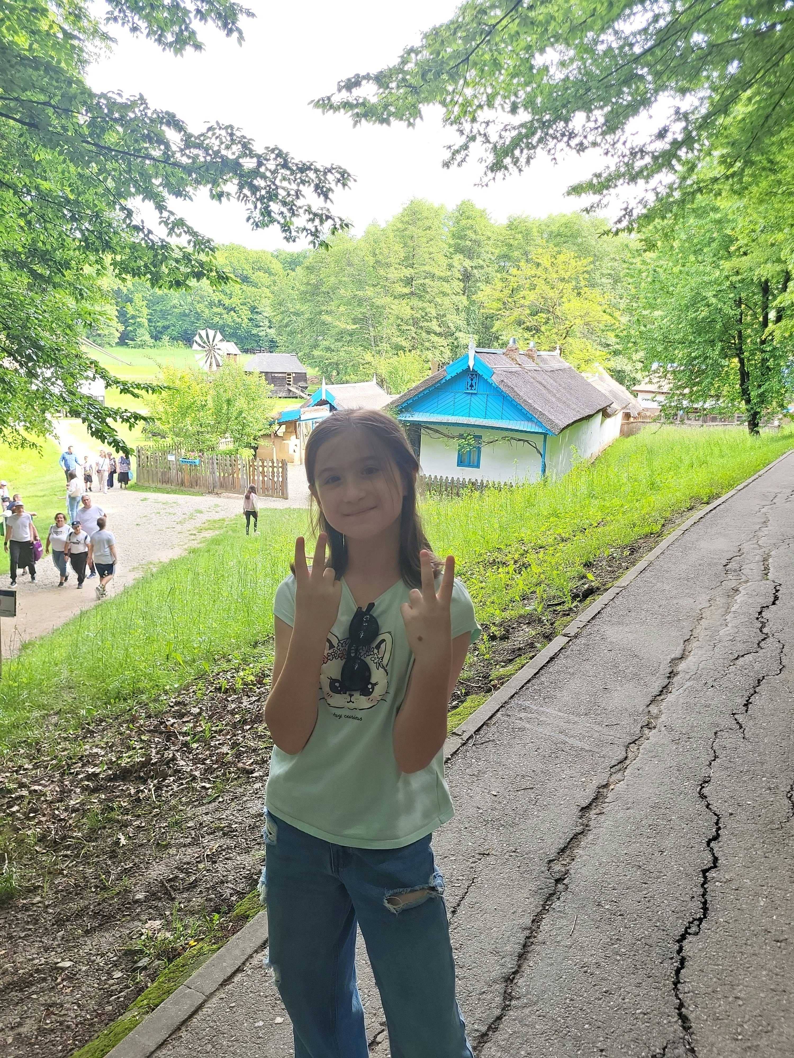 Player photo from Country Life! At Astra Museum, Sibiu walking tour in Sibiu