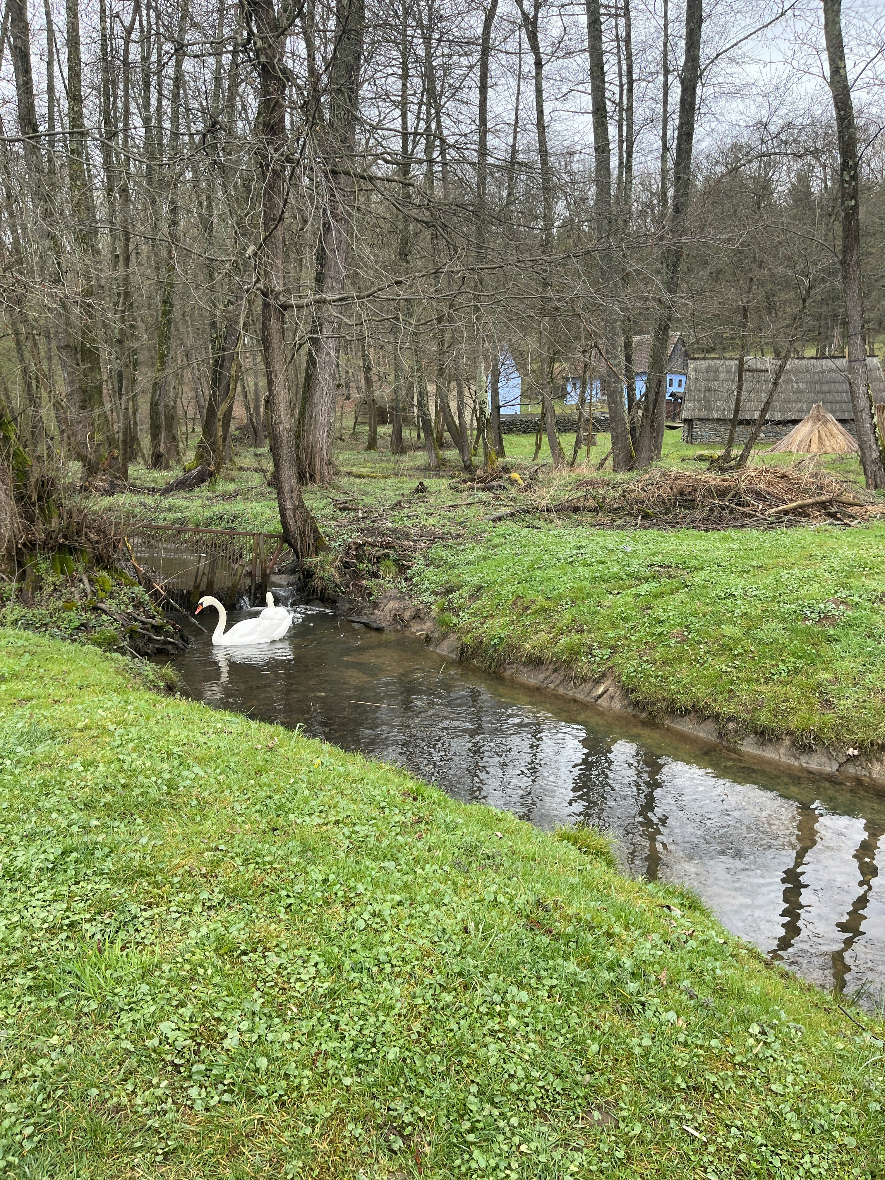 Player photo from Country Life! At Astra Museum, Sibiu walking tour in Sibiu