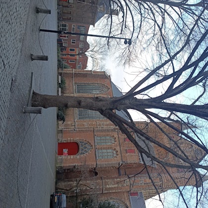 Player photo from How Rembrandt van Rijn became world's greatest painter - Leiden walking tour in Leiden