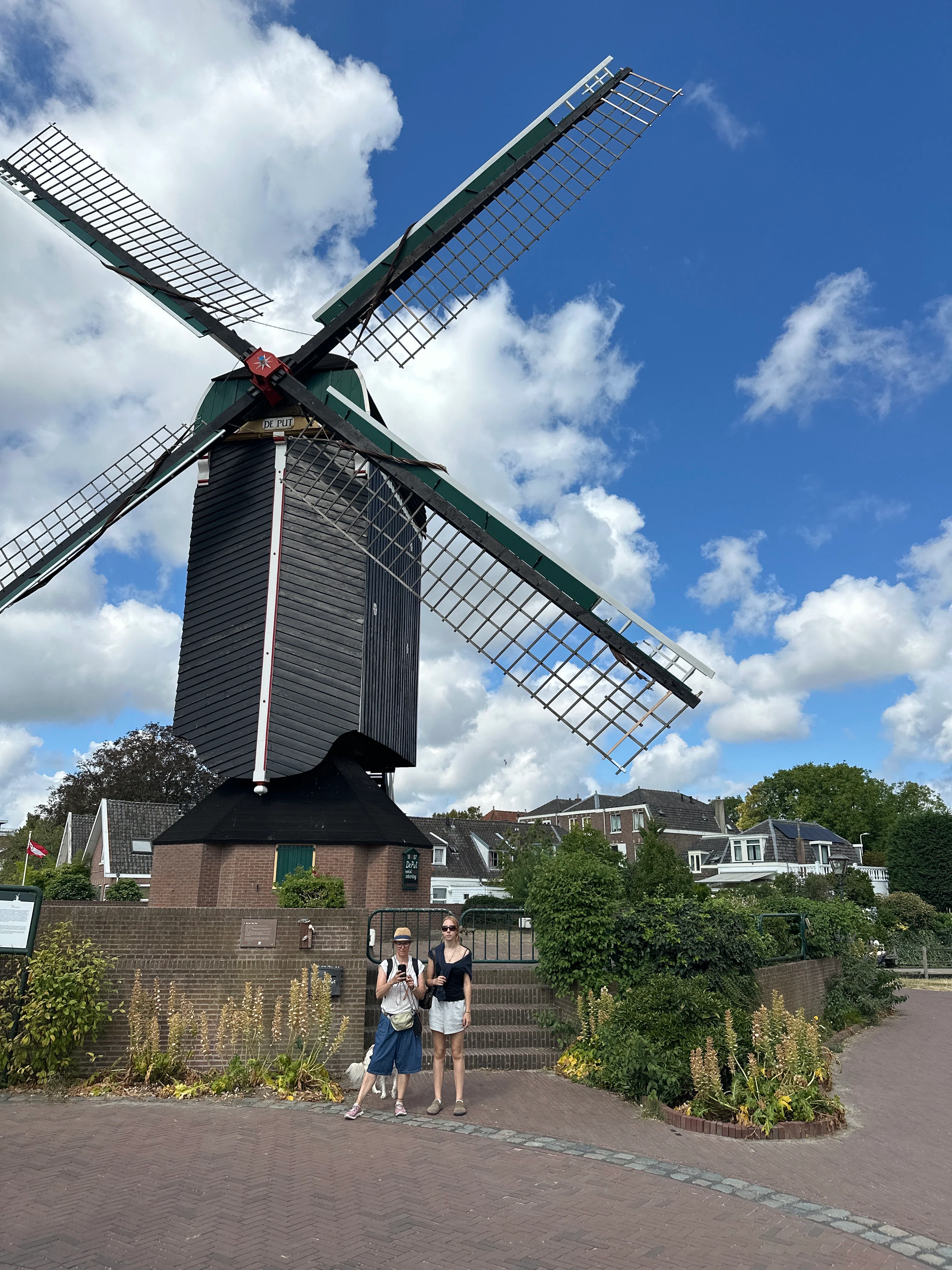 Player photo from How Rembrandt van Rijn became world's greatest painter - Leiden walking tour in Leiden
