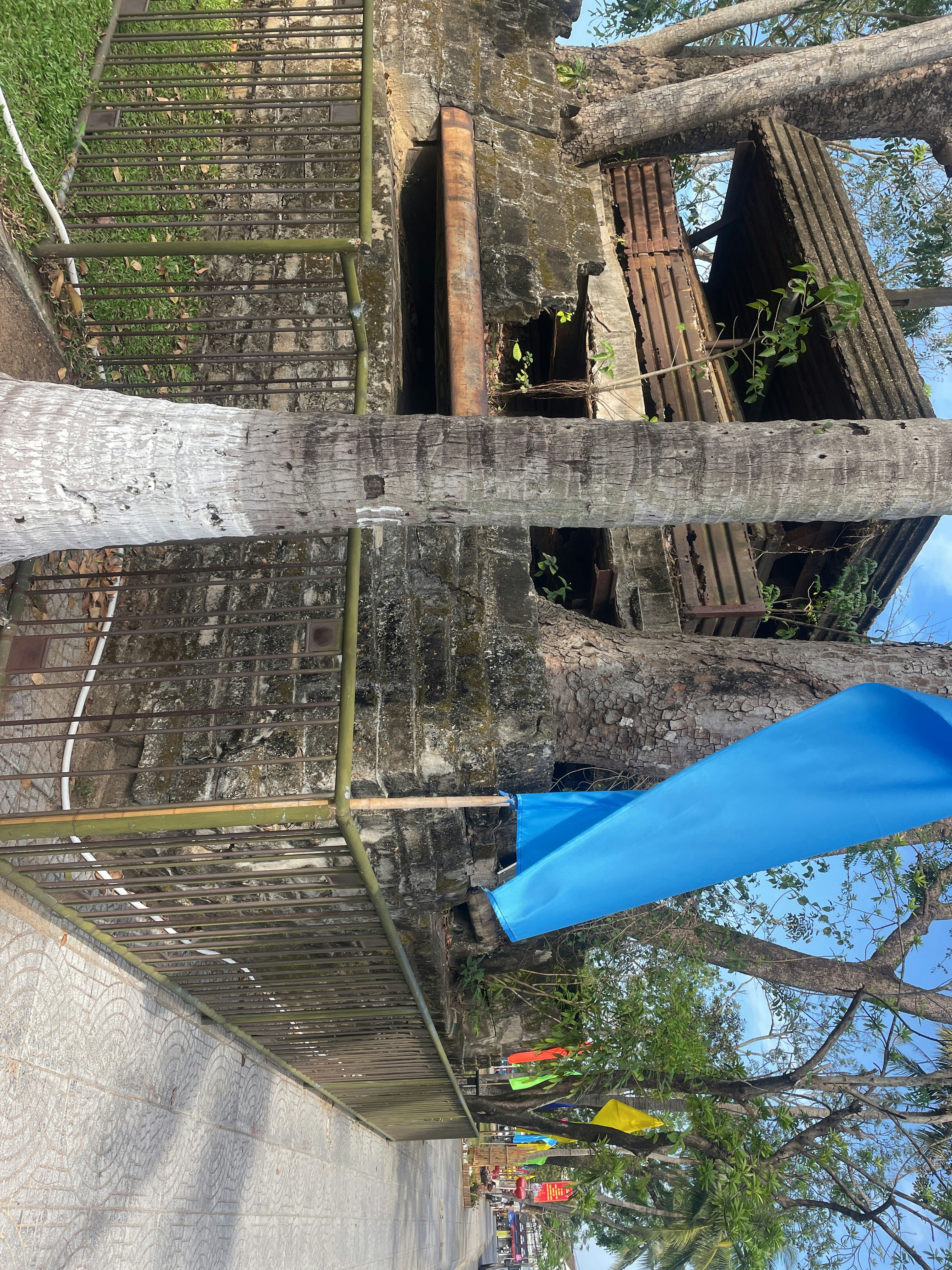 Player photo from Hội An Legends: The Spirit Lantern walking tour in Hoi An