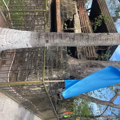 Player photo from Hội An Legends: The Spirit Lantern walking tour in Hoi An