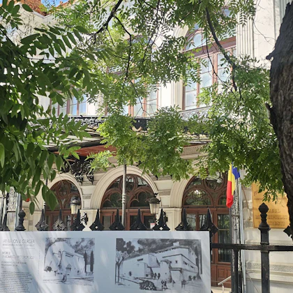 Player photo from Bucharest: Un bal regal, o șansă la tron! walking tour in Bucharest