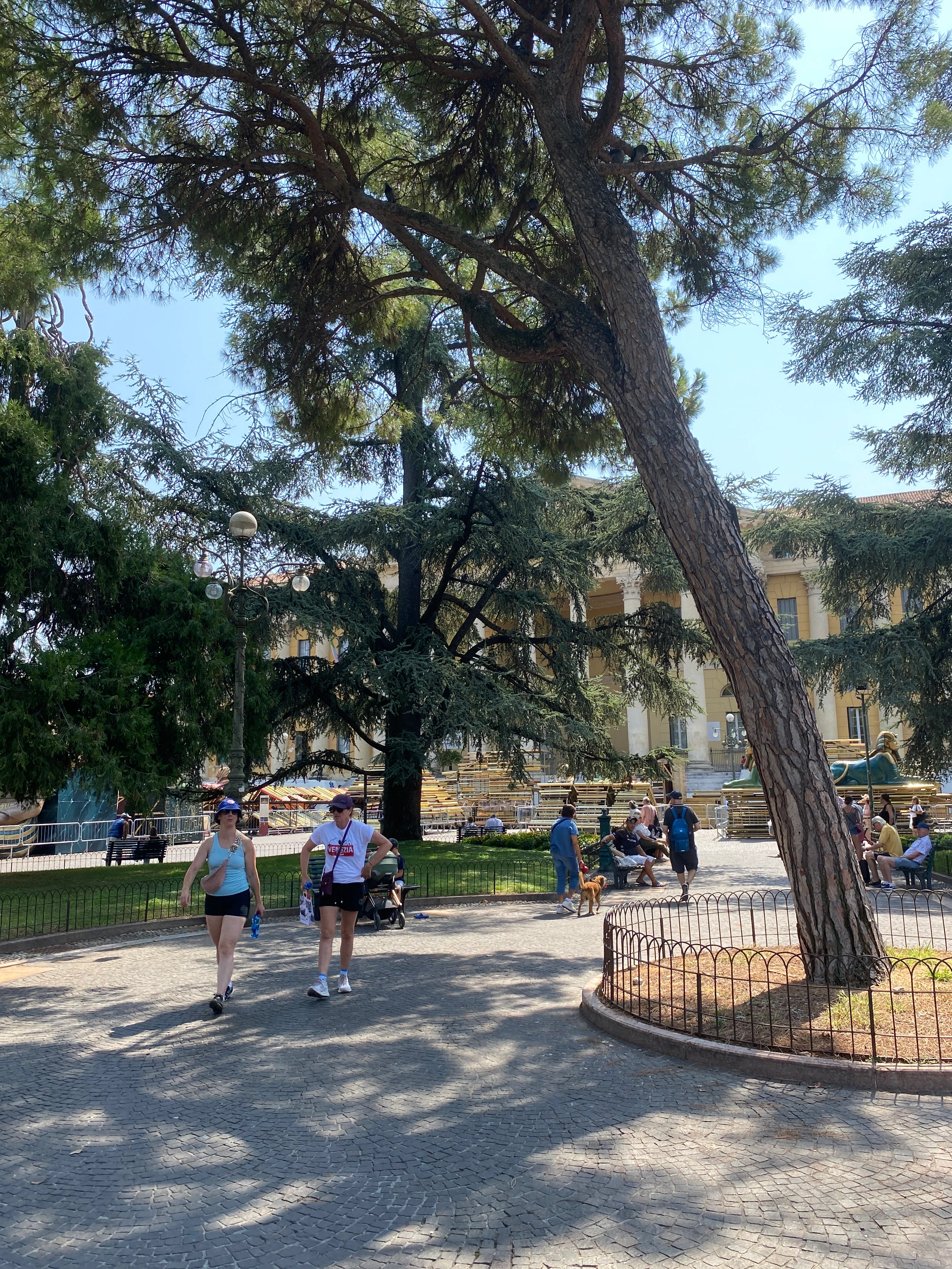 Player photo from Romeo and Juliet's happy ending walking tour in Verona