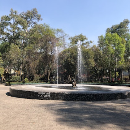 Player photo from Enigma Adventure in Coyoacán, Mexico City walking tour in Mexico City