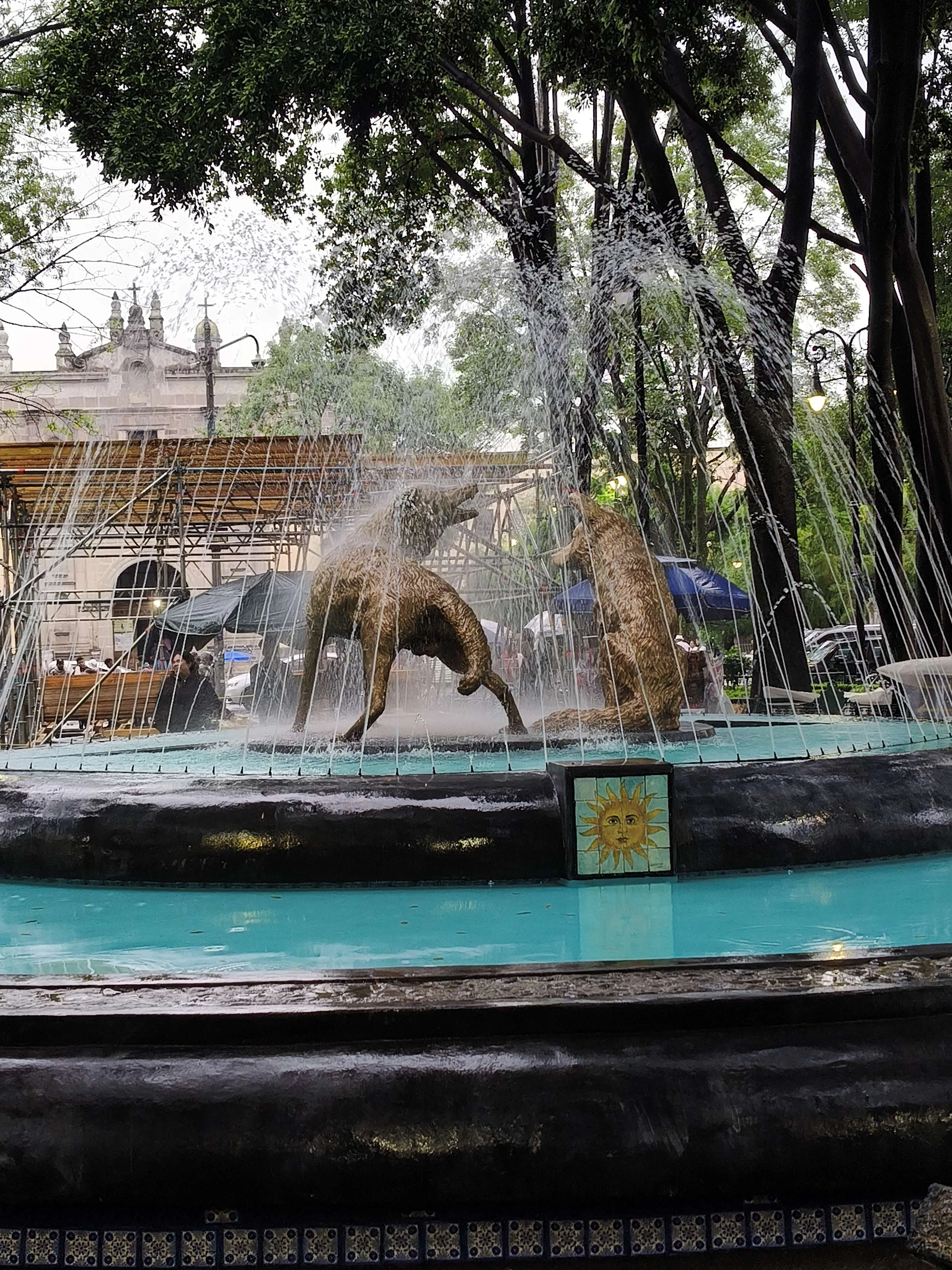 Player photo from Enigma Adventure in Coyoacán, Mexico City walking tour in Mexico City
