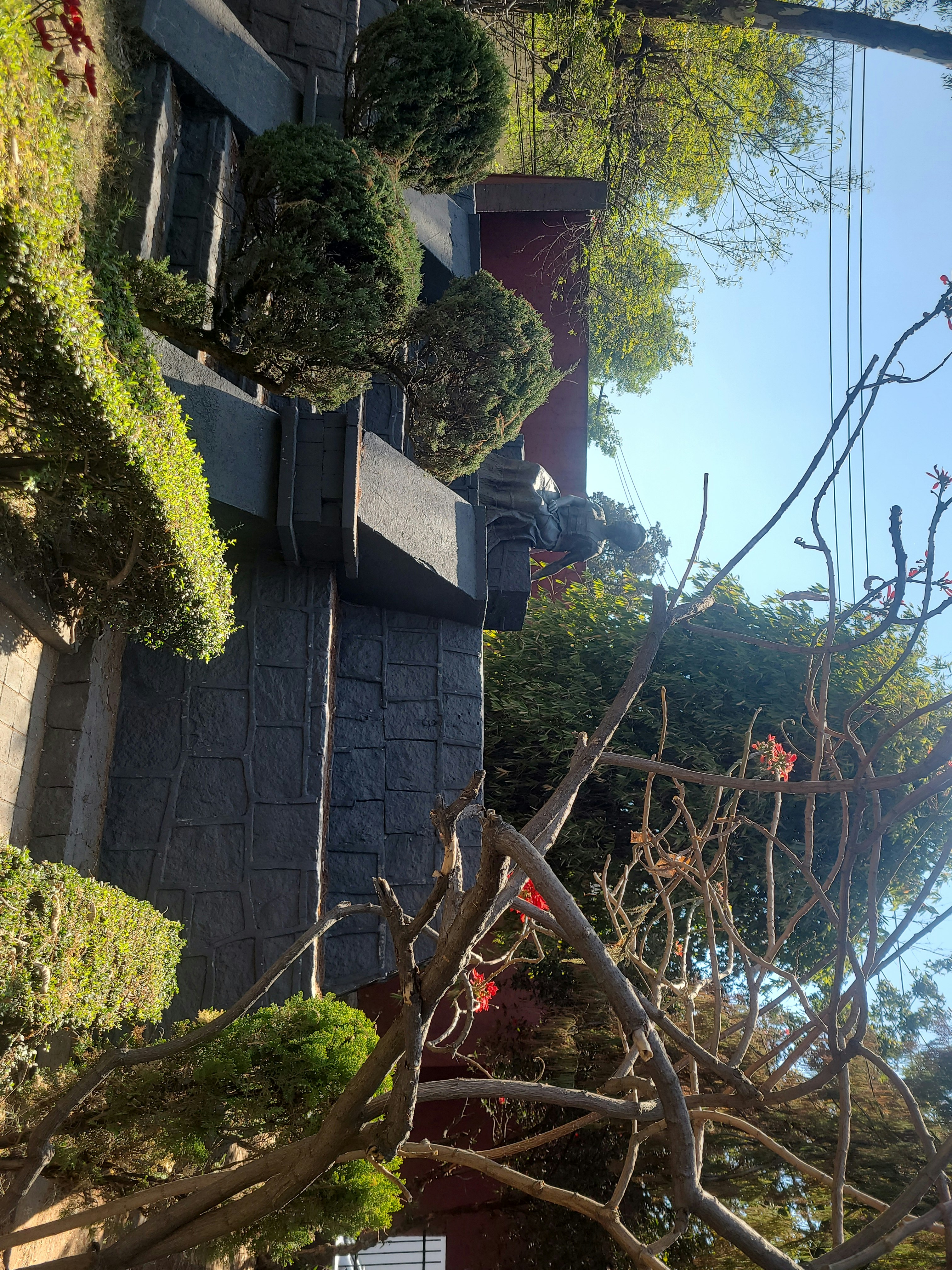 Player photo from Enigma Adventure in Coyoacán, Mexico City