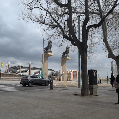 Player photo from Zaragoza and the Napoleonic wars walking tour in Zaragoza