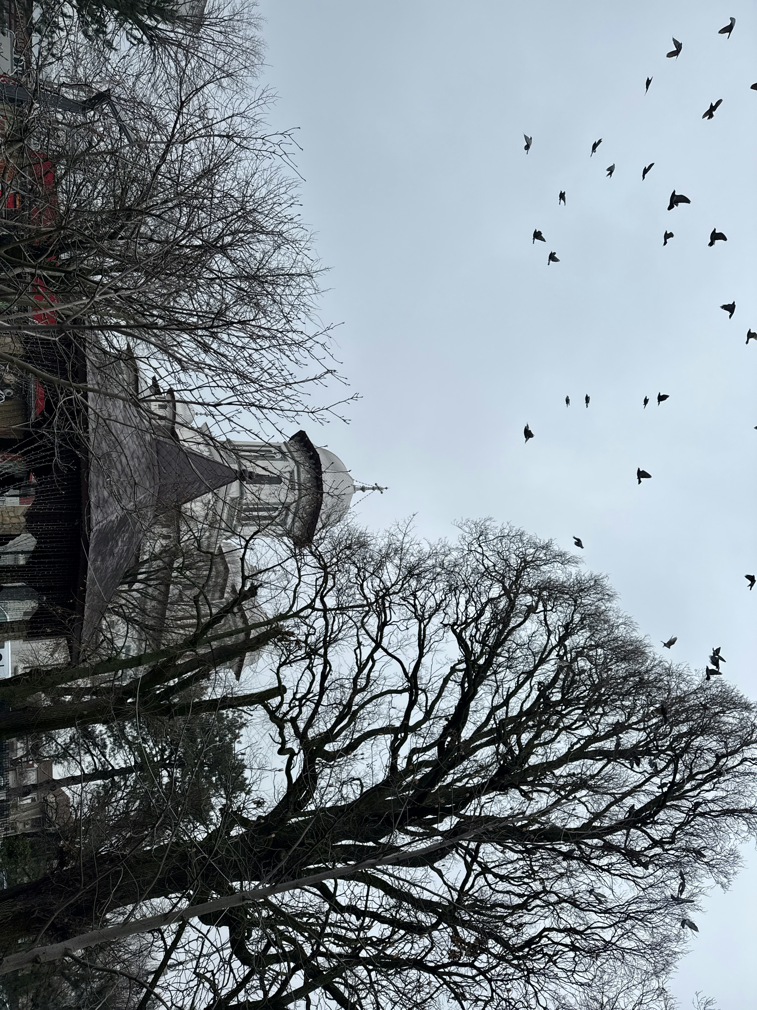 Player photo from Alexandria - Exploring the universe of construction: a journey through time and space with UTCB walking tour in Alexandria