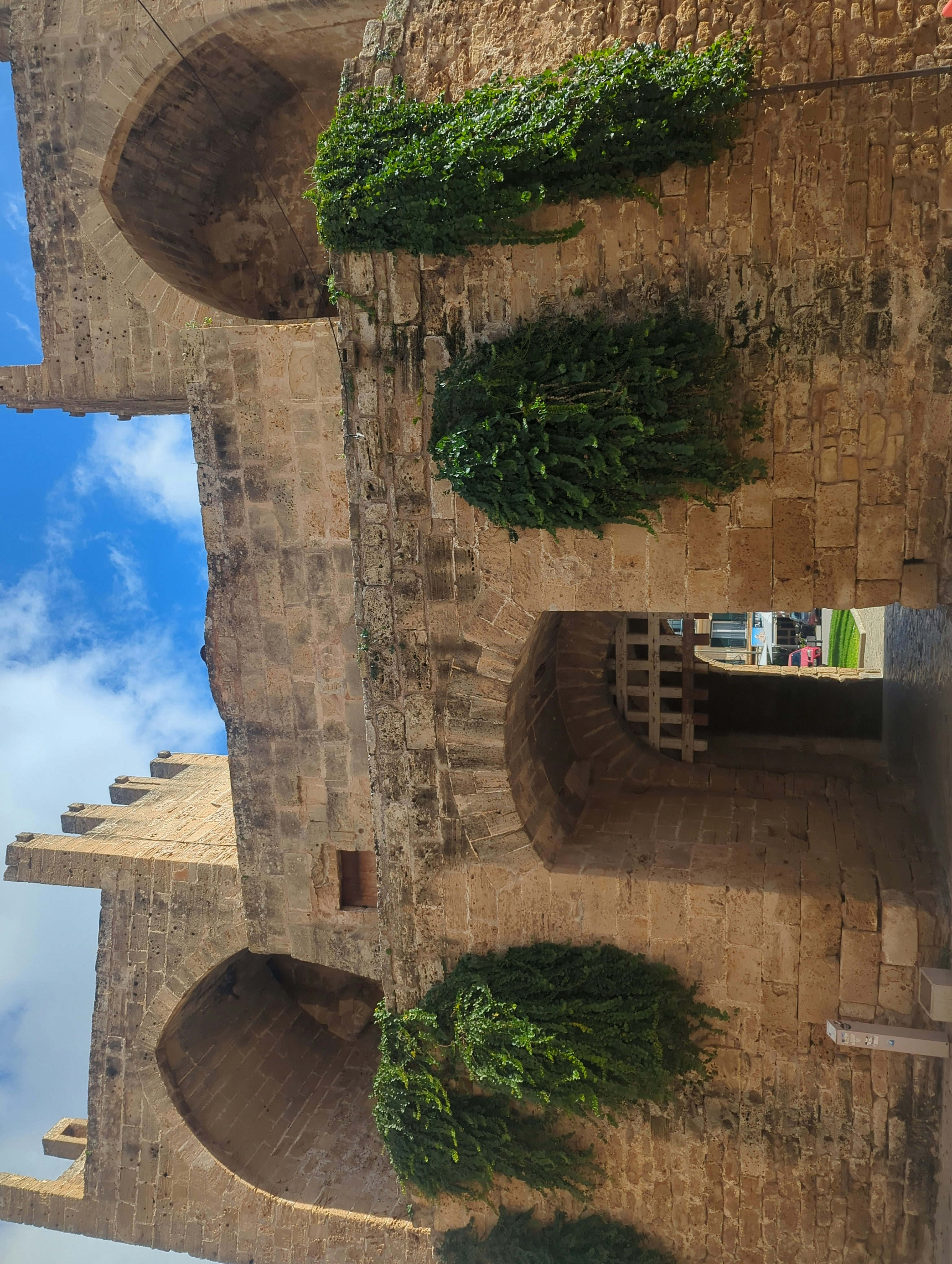 Player photo from The Pirate Hunt of Alcudia – Find the Hidden Trail walking tour in Alcúdia