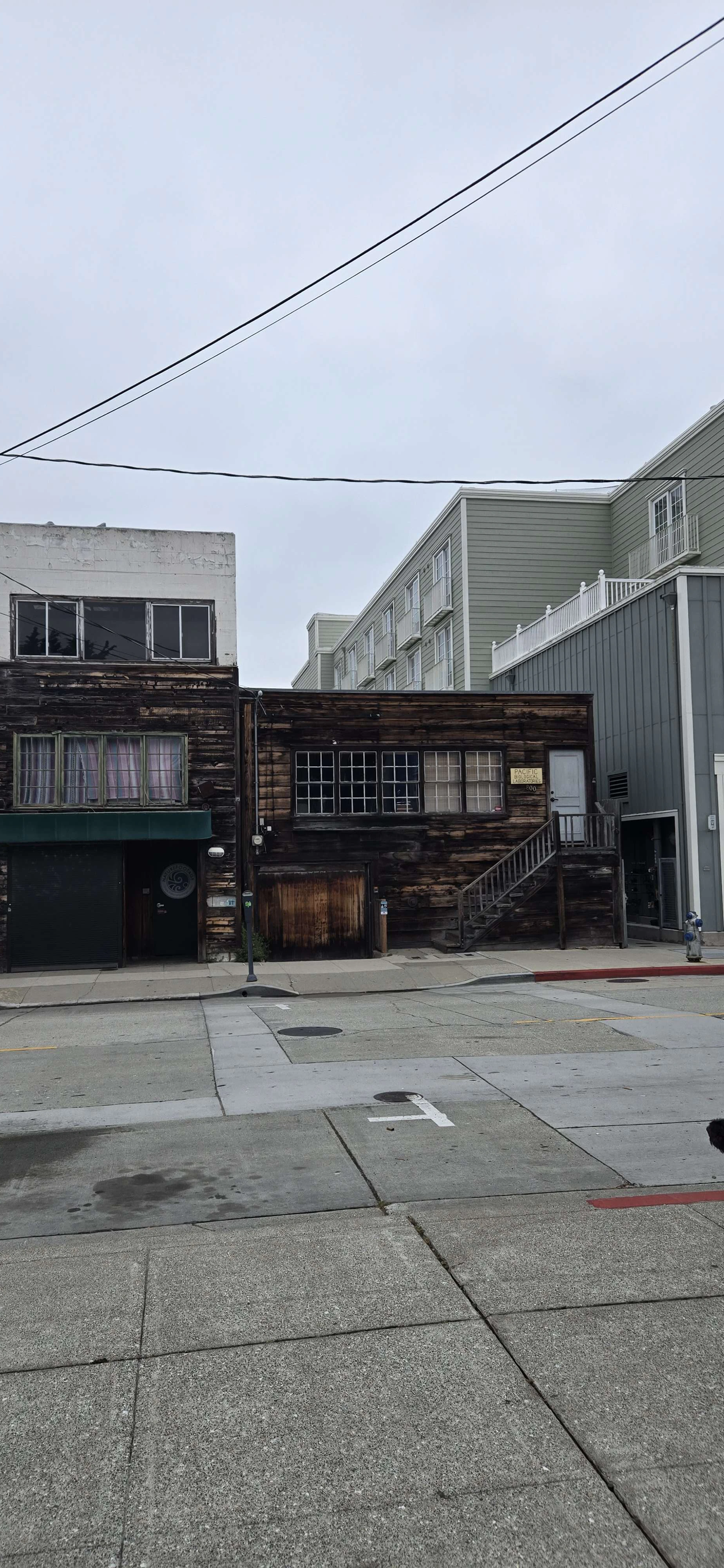 Player photo from Cannery Row Mystery in Monterey, California.