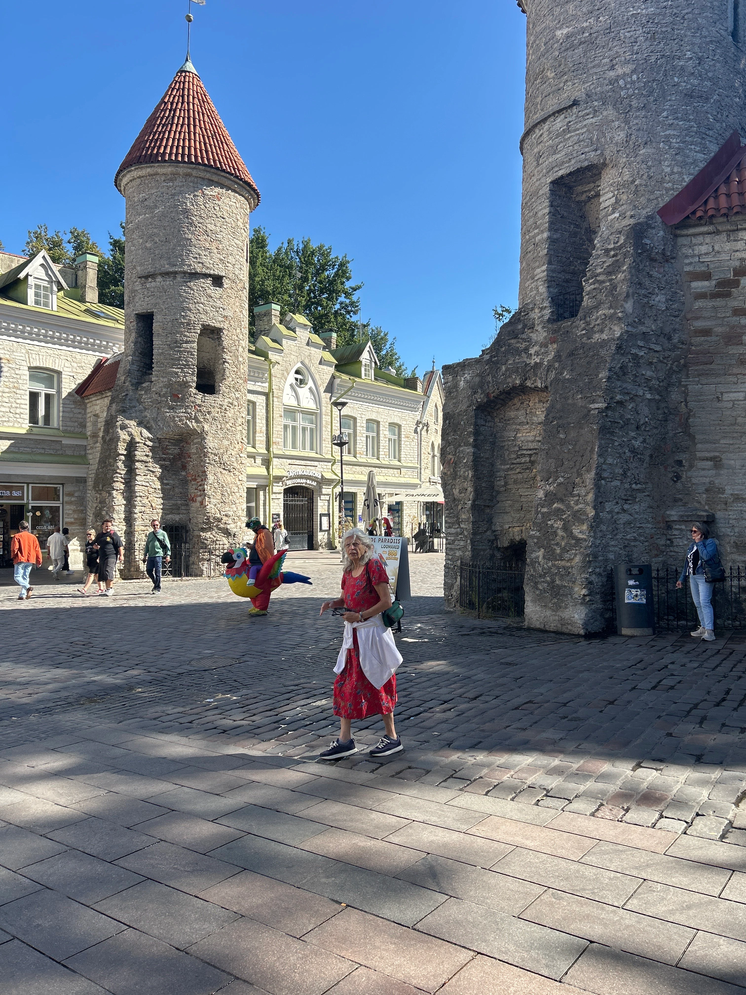 Player photo from The Guardian's Quest: Mysteries of Medieval Tallinn walking tour in Tallinn, Estonia