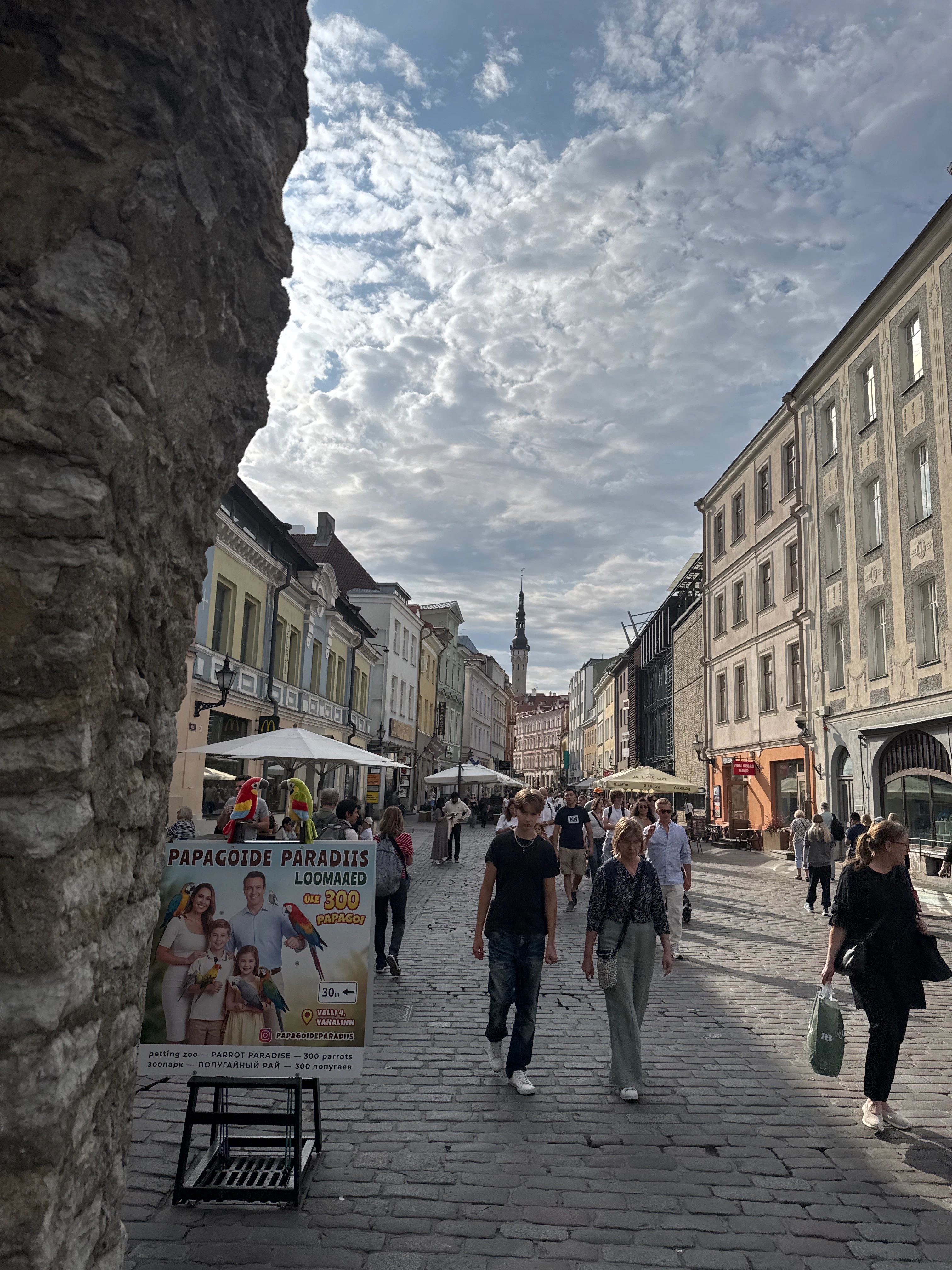 Player photo from The Guardian's Quest: Mysteries of Medieval Tallinn walking tour in Tallinn, Estonia