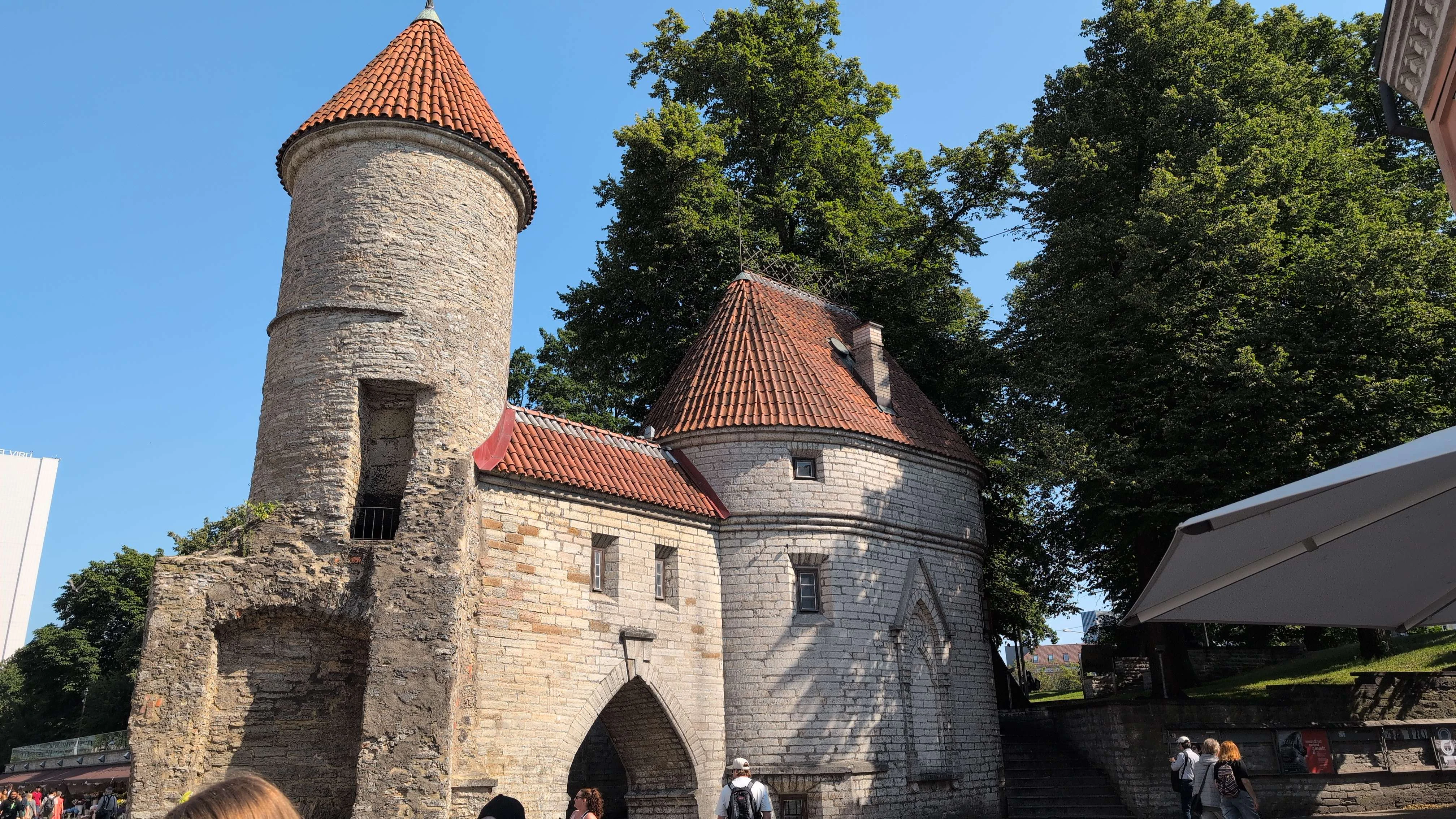 Player photo from The Guardian's Quest: Mysteries of Medieval Tallinn walking tour in Tallinn, Estonia