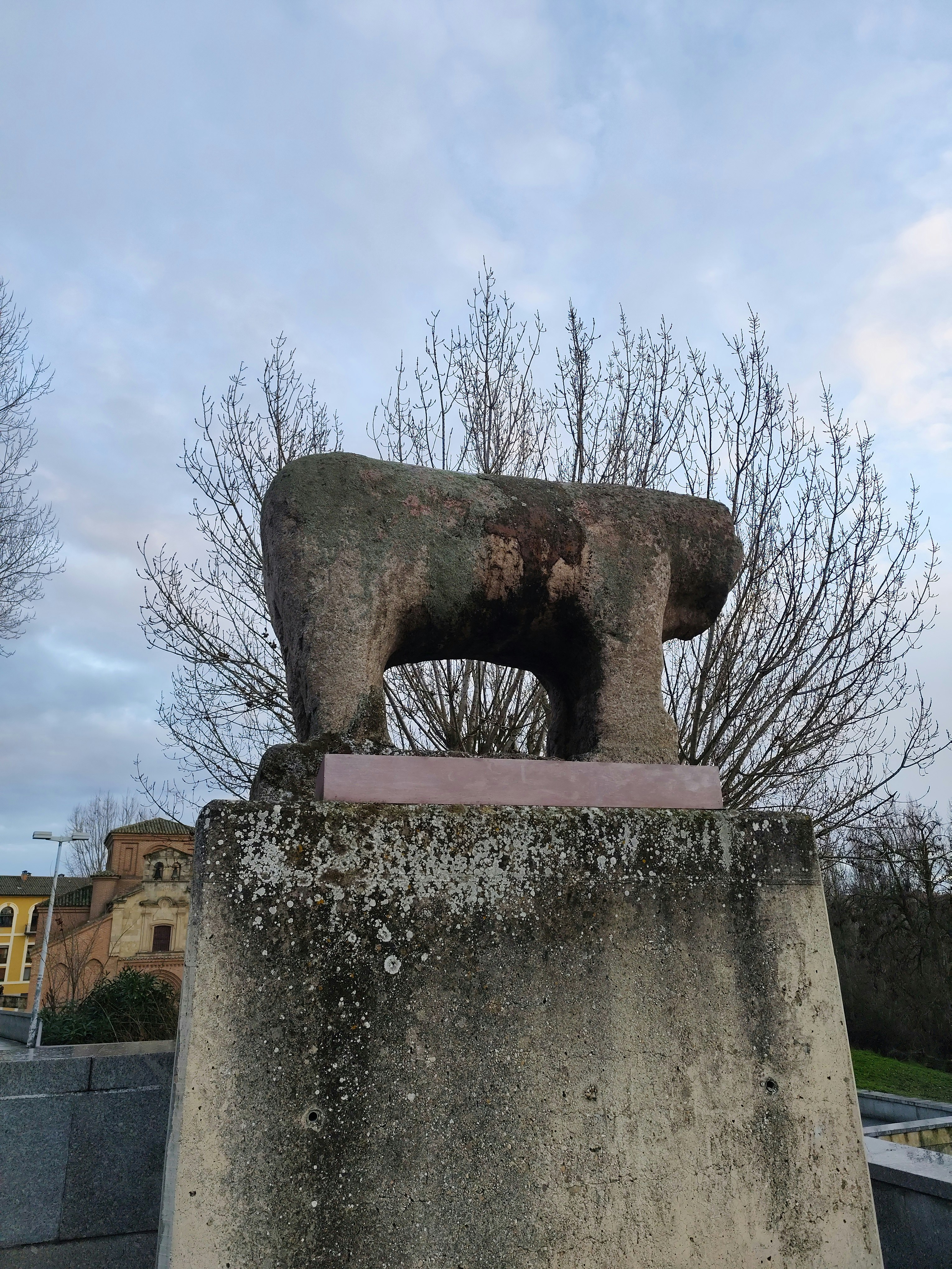 Player photo from Whispers of Unamuno – A Reflective Journey Through Salamanca walking tour in Salamanca