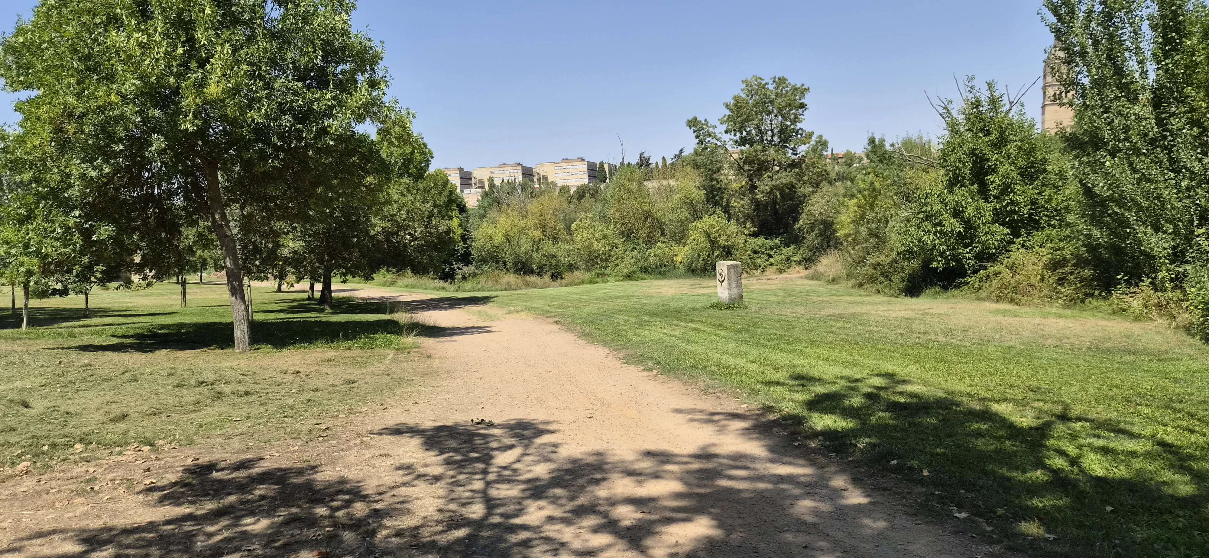 Player photo from Whispers of Unamuno – A Reflective Journey Through Salamanca walking tour in Salamanca