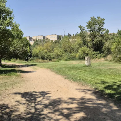 Player photo from Whispers of Unamuno – A Reflective Journey Through Salamanca walking tour in Salamanca