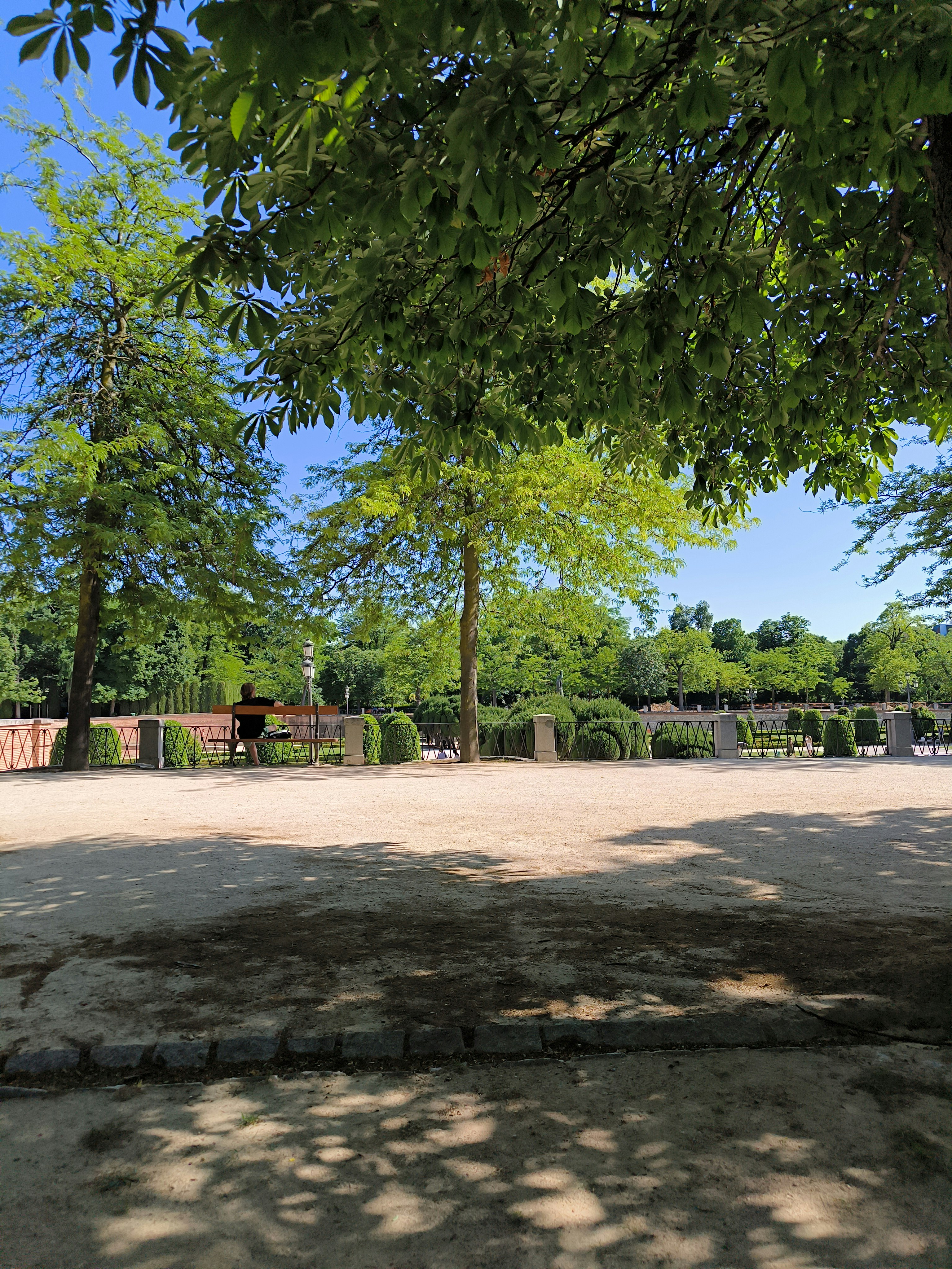 Foto de jugador en Whispers of El Retiro Park: Madrid's Hidden Secrets Scavenger Hunt