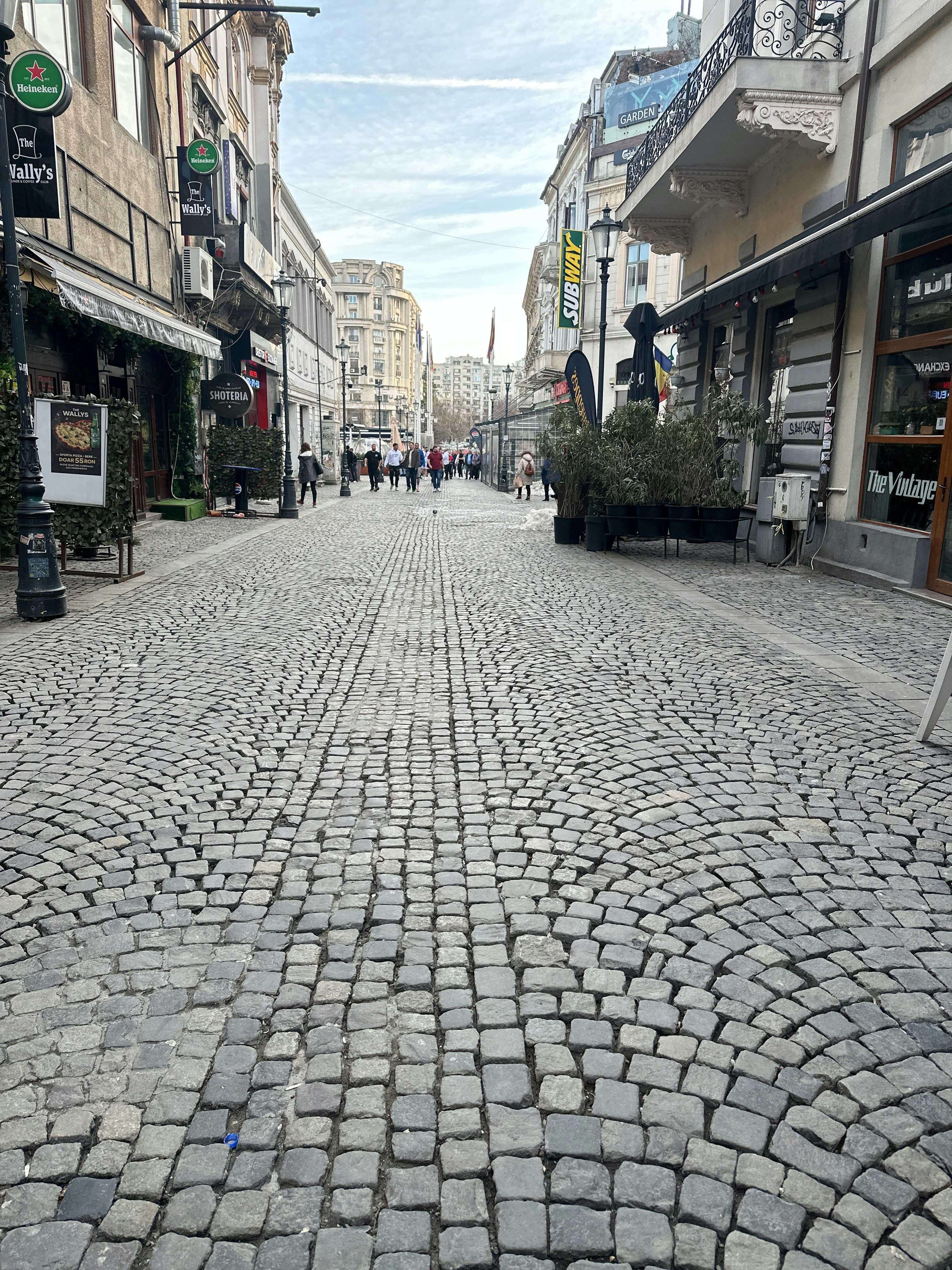 Player photo from The Beer Trail of Bucharest walking tour in Bucharest