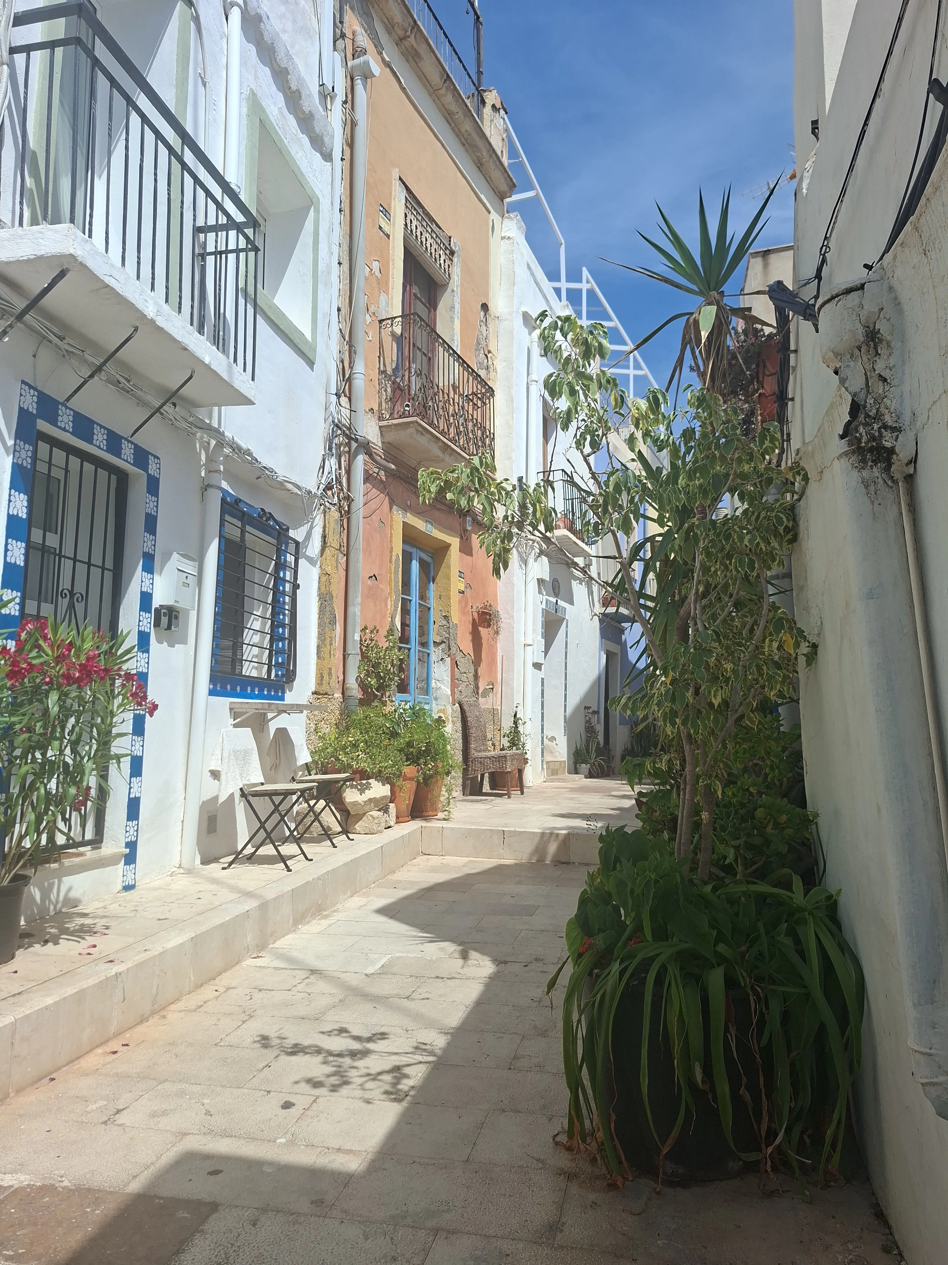 Player photo from Alicante: The Secret Society of The Light