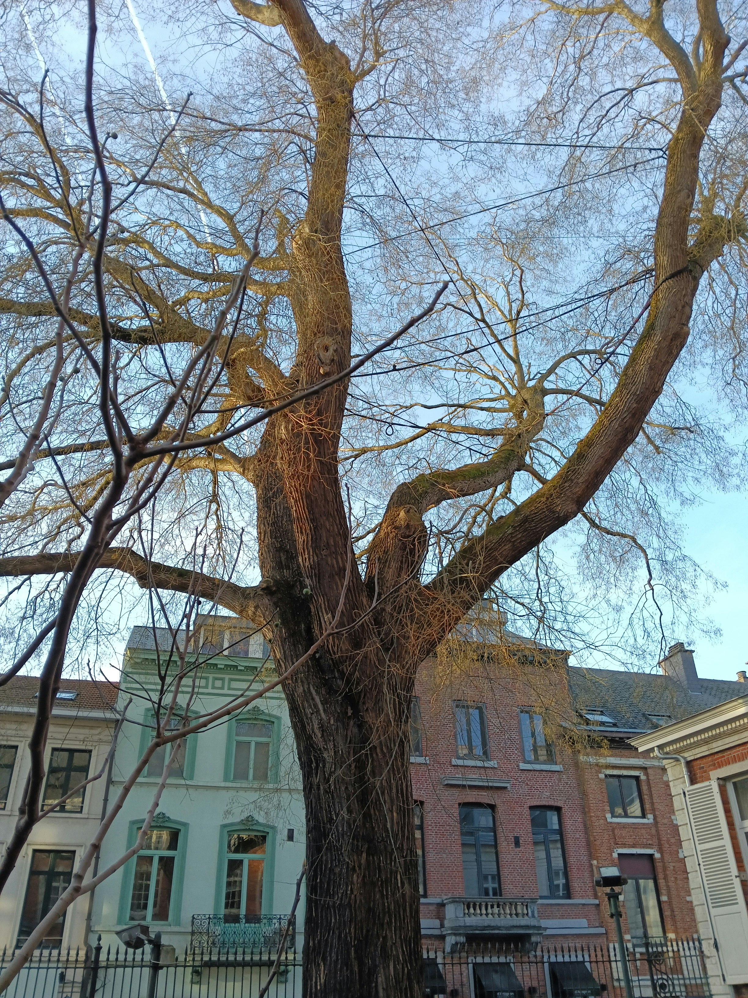 Player photo from Leuven AI resistance walking tour in Leuven