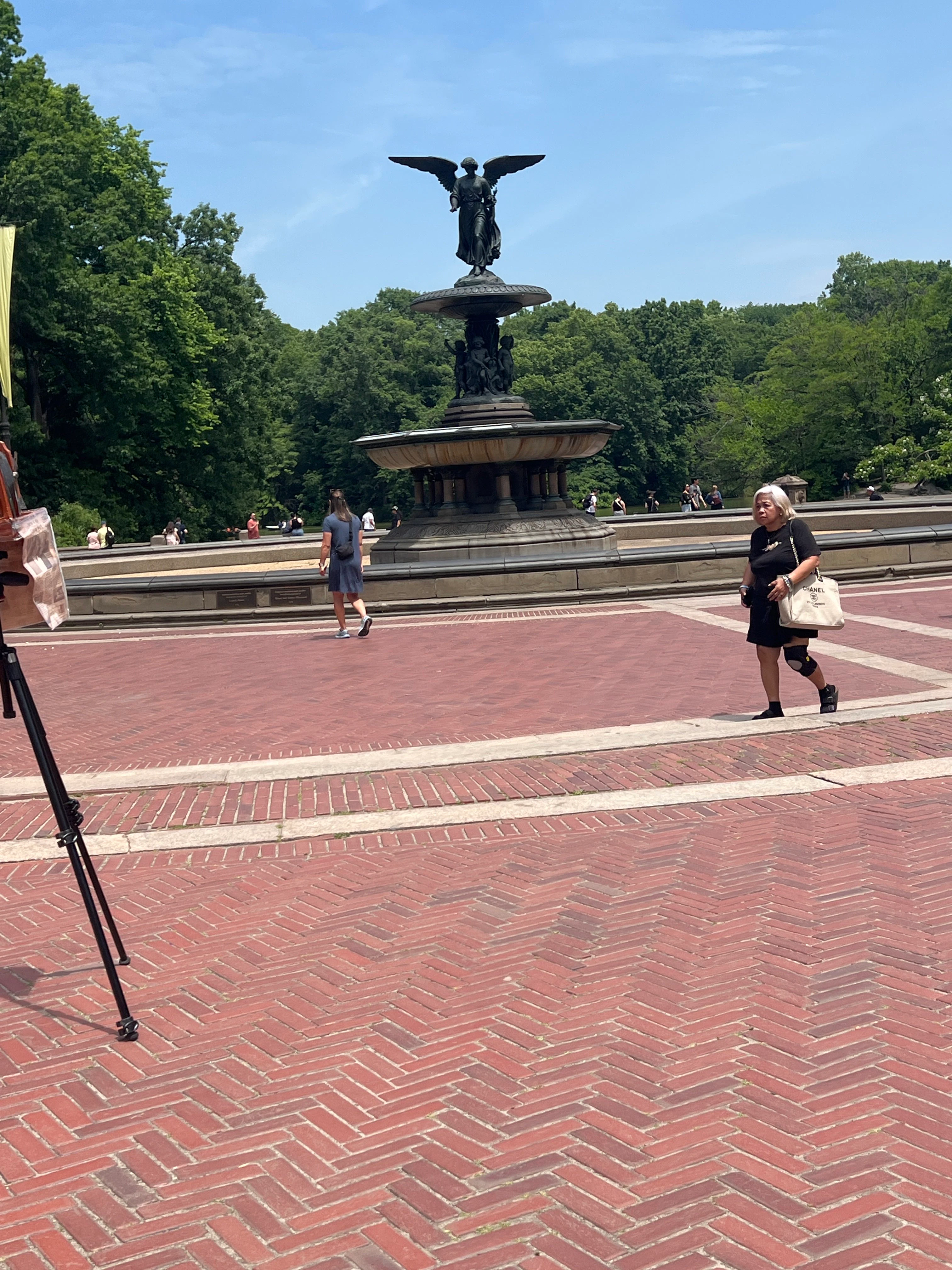 Player photo from Murder Mystery: Death in the Shadows in Central Park, New York City