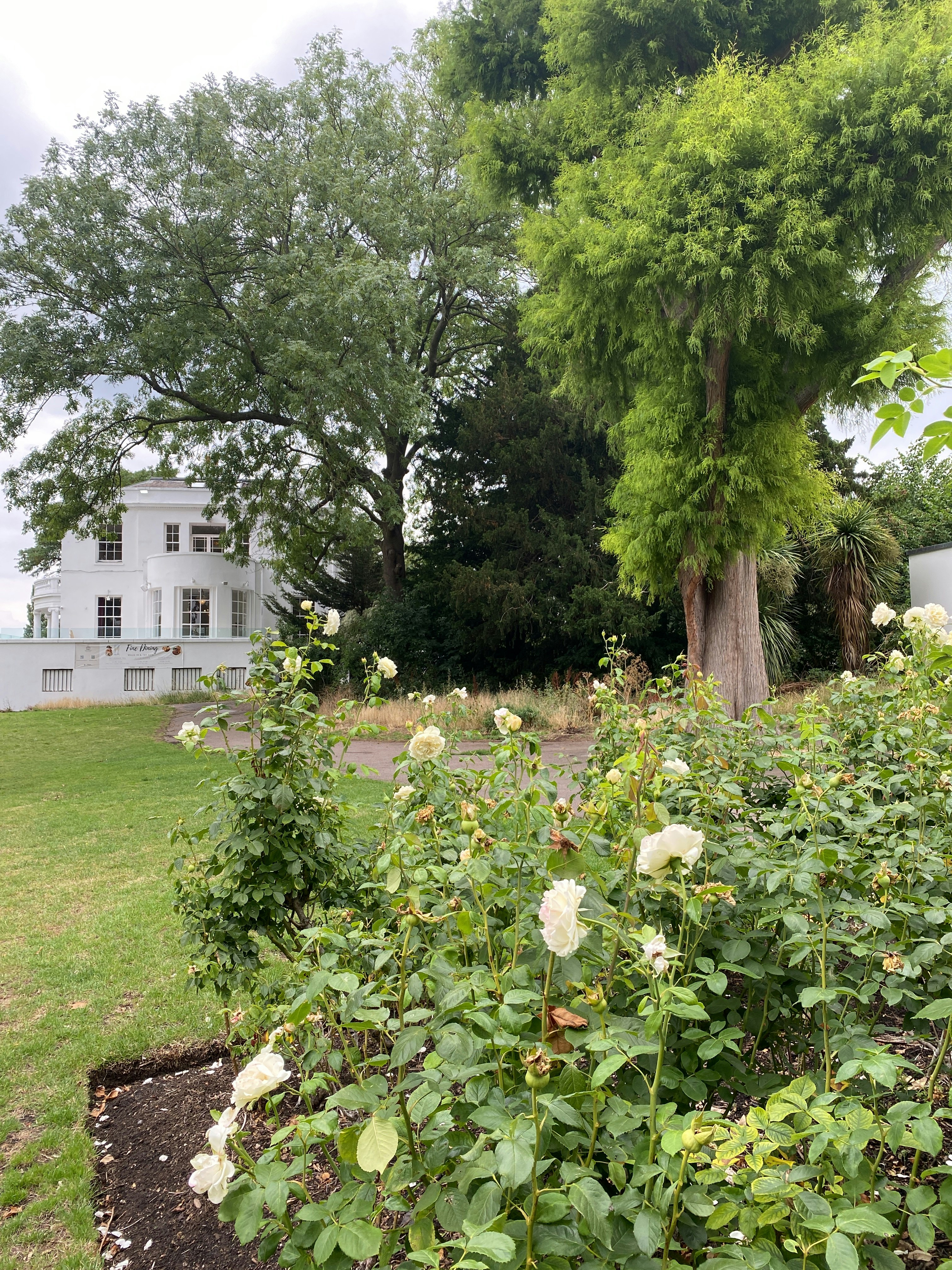 Player photo from Meadows, Monarchs and Mystery in London walking tour in London