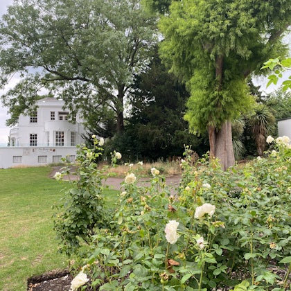 Player photo from Meadows, Monarchs and Mystery in London walking tour in London