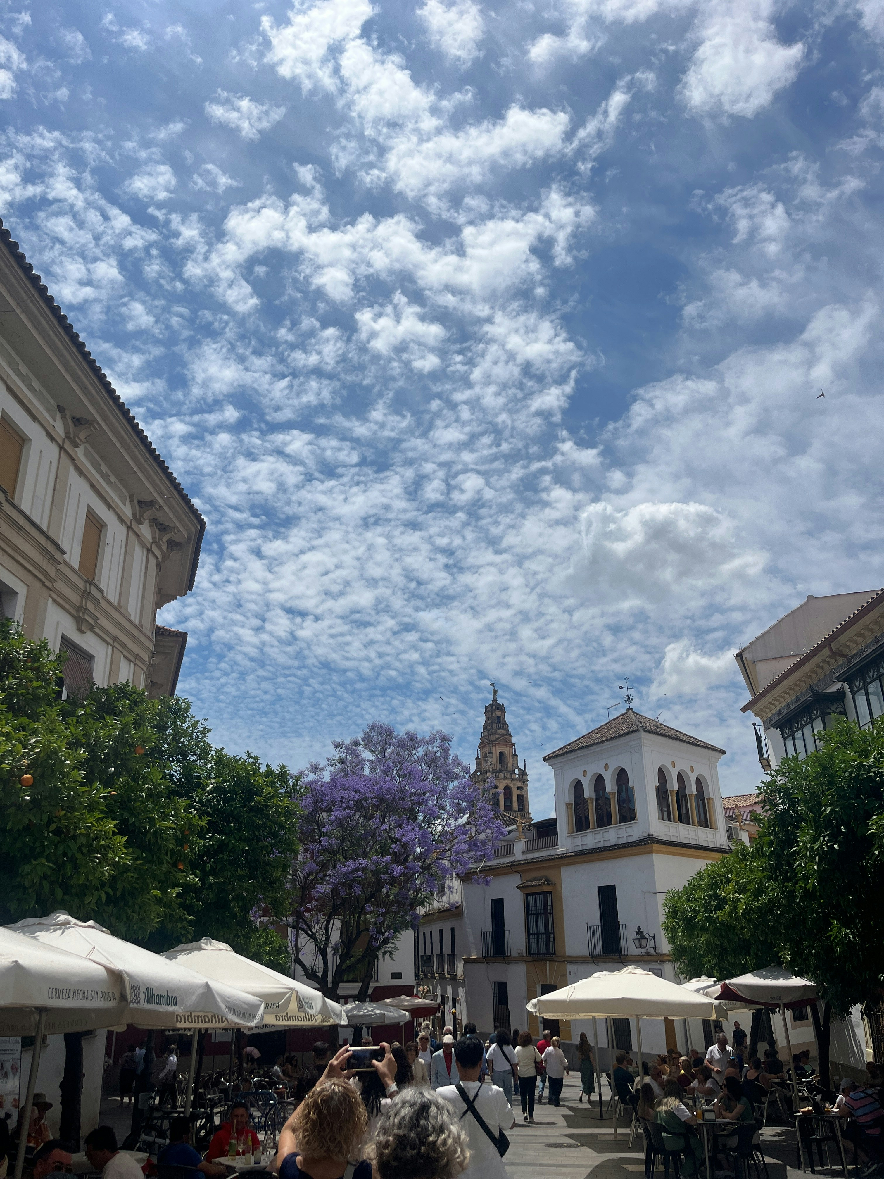 Player photo from Lost in the Labyrinth of Córdoba: Solve the Culture, Save the Friend walking tour in Córdoba