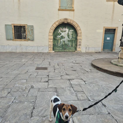 Player photo from Unlocking Graz: A Magical Adventure With Friends walking tour in Graz