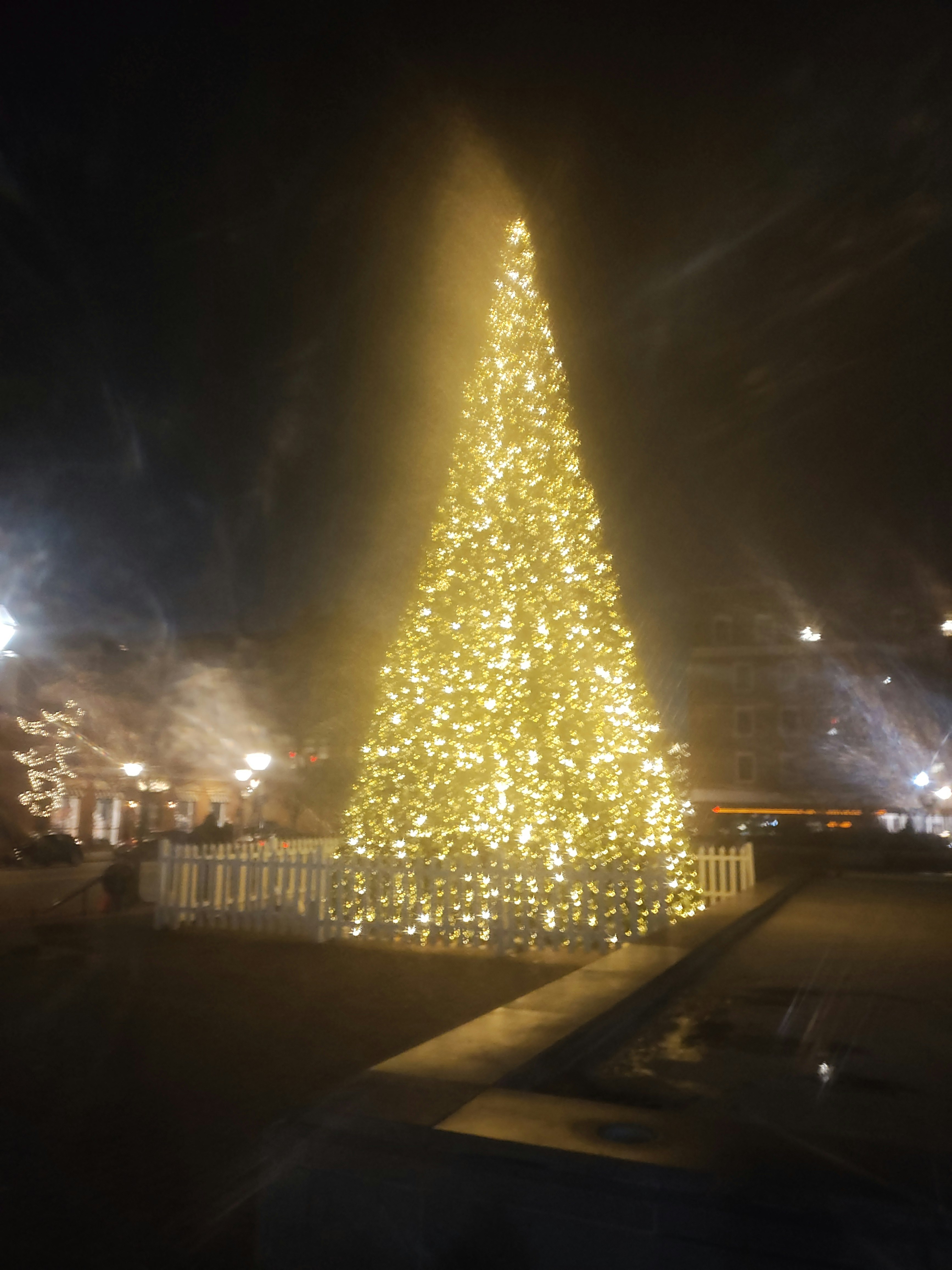 Player photo from Cold Case Zero in Alexandria: A Director Zero Investigation walking tour in Alexandria, VA