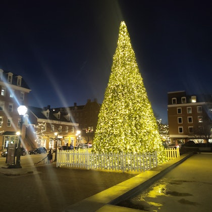 Player photo from Cold Case Zero in Alexandria: A Director Zero Investigation walking tour in Alexandria, VA