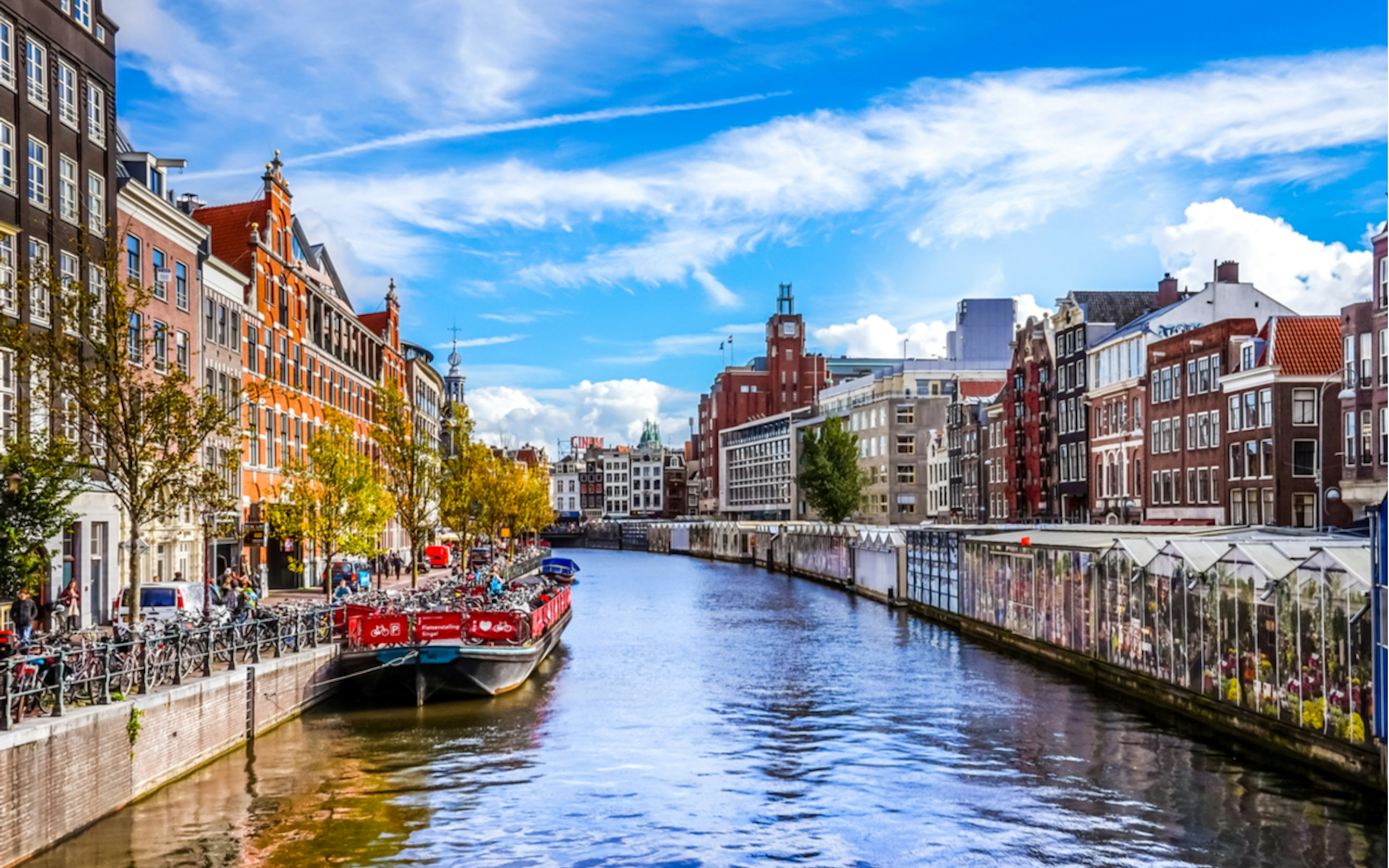 Amsterdam Old Town: The Golden Tulip Hunt