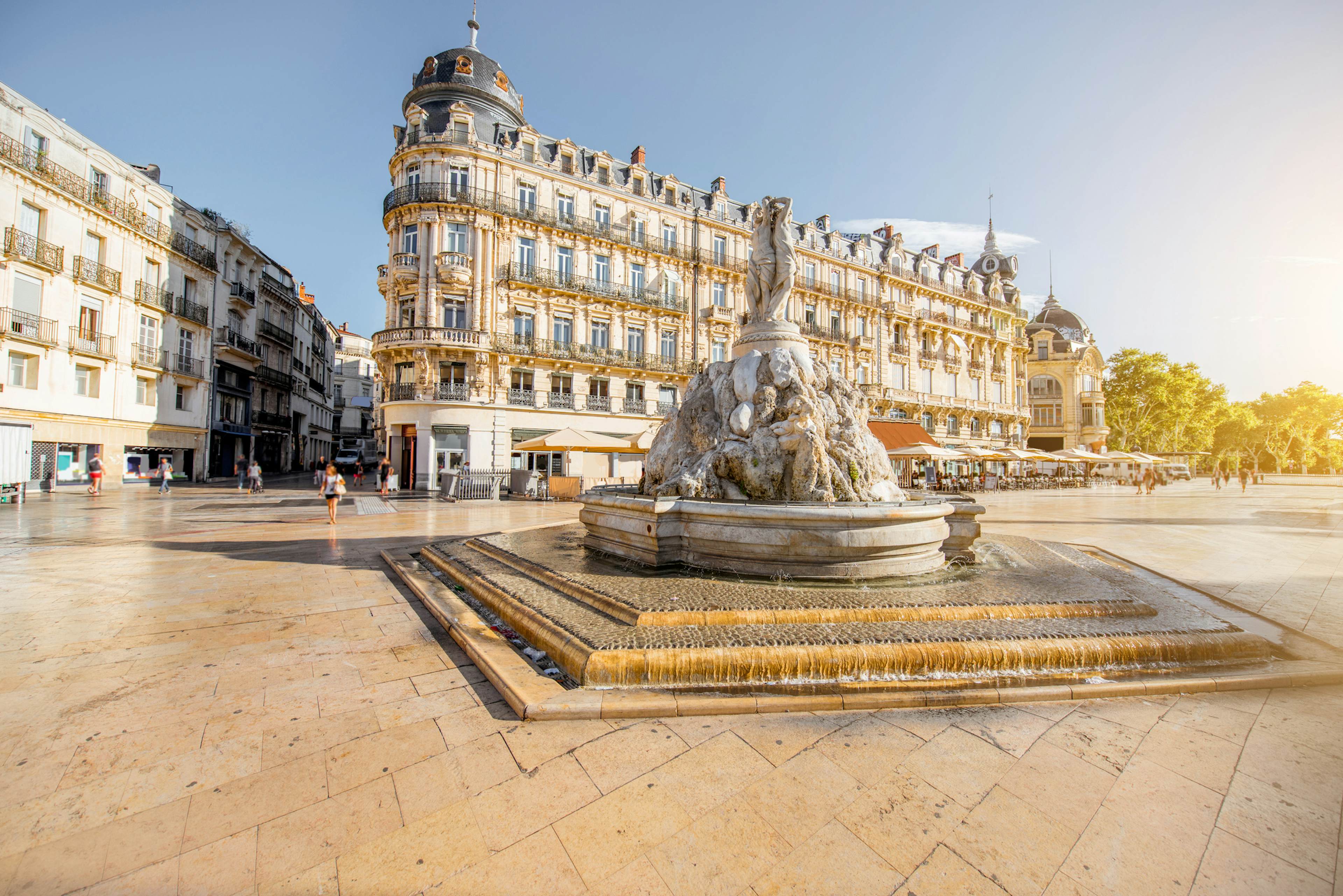 Montpellier Highlights - The Awakening image