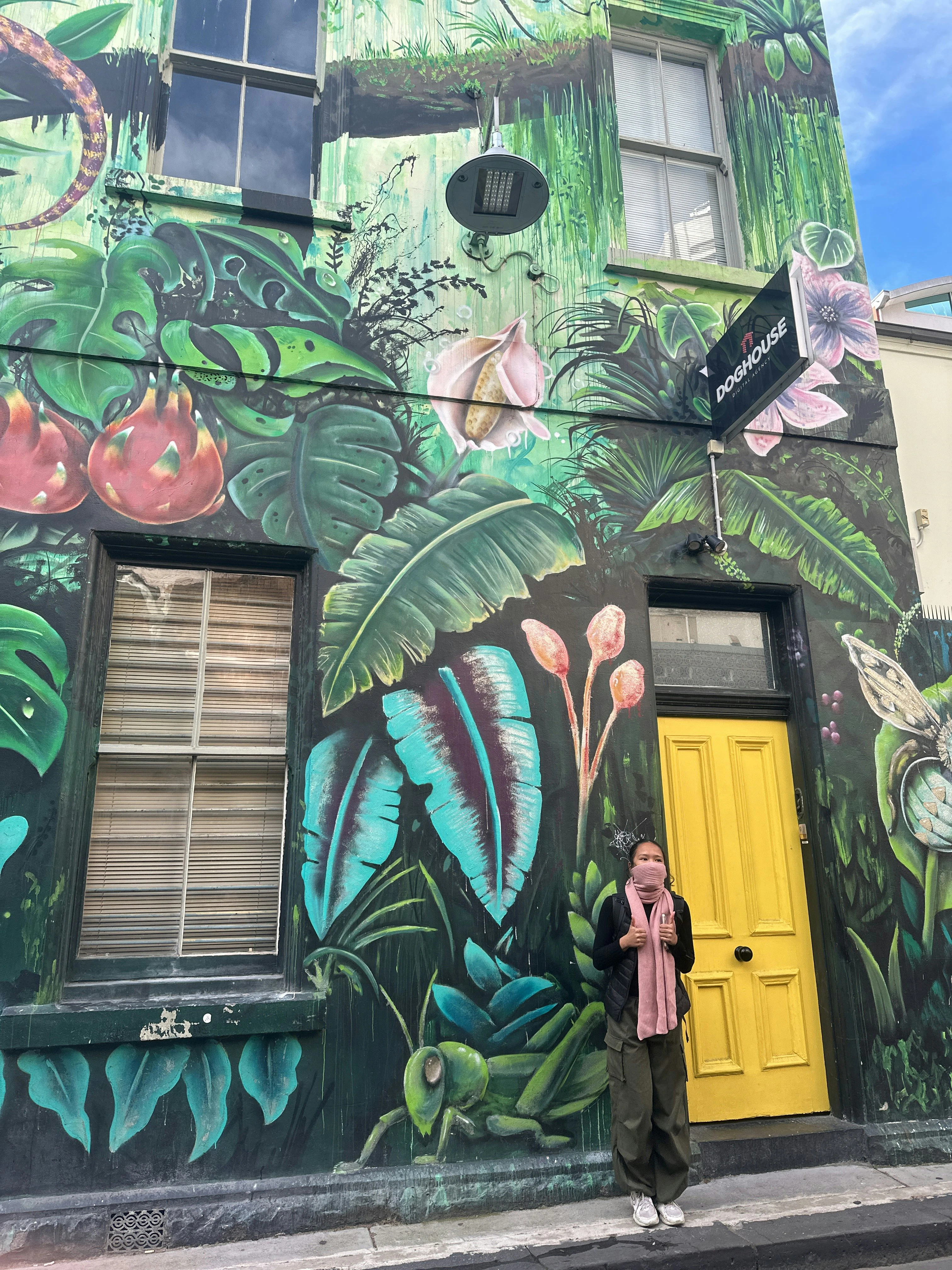 Street Art: Melbourne　洋書 Walls That Speak: Melbourne's Street Art | Questo