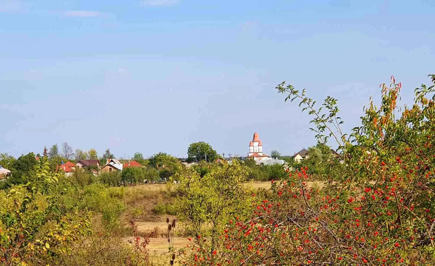 Descoperă focul veșnic viu la Picior de Munte image 1