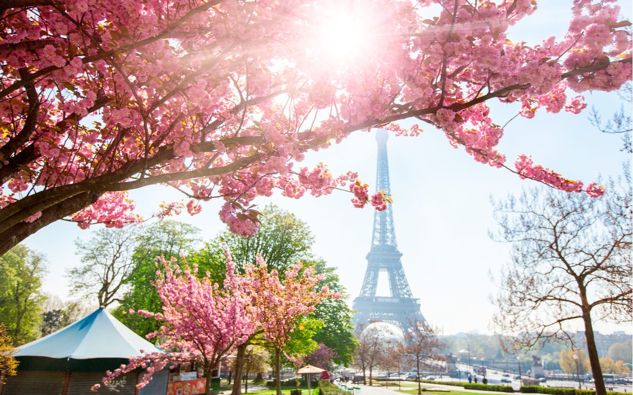 Romantic Highlights of Paris: Live, Laugh, Love along the Seine image