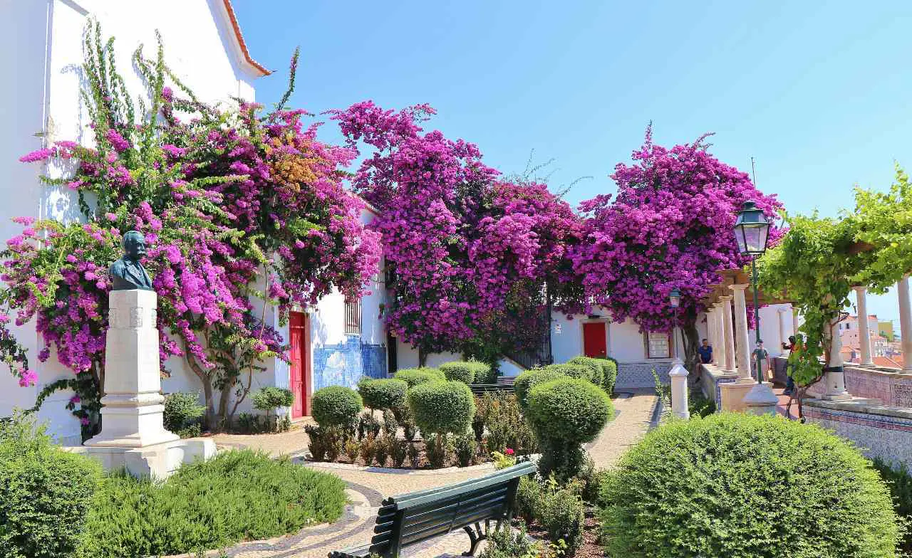 Old Town Lisbon: Strange Events image 1