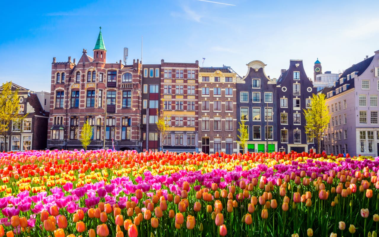 Romantic Highlights of Amsterdam: Fairytale or Tragedy? image